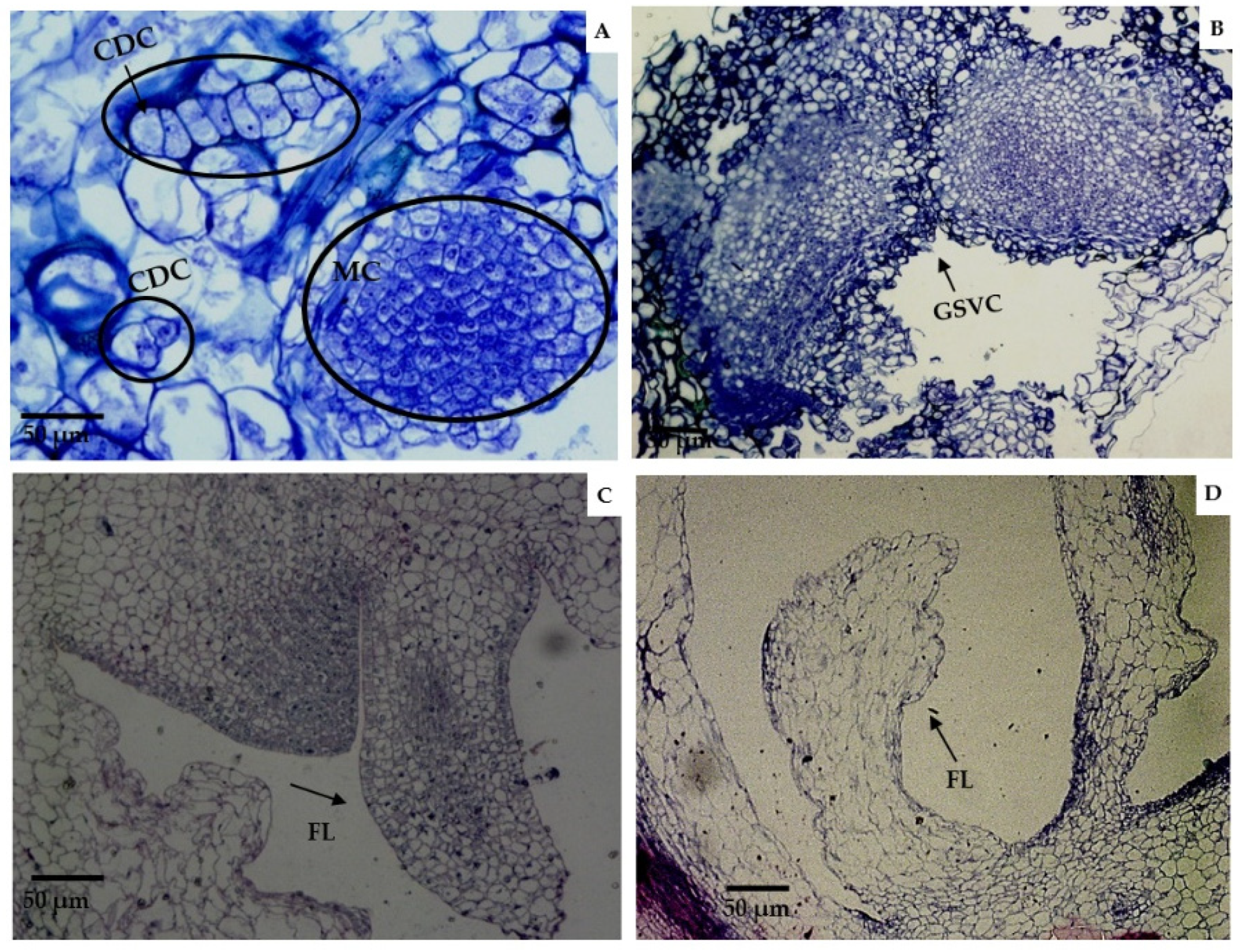 Agriculture 12 00713 g005