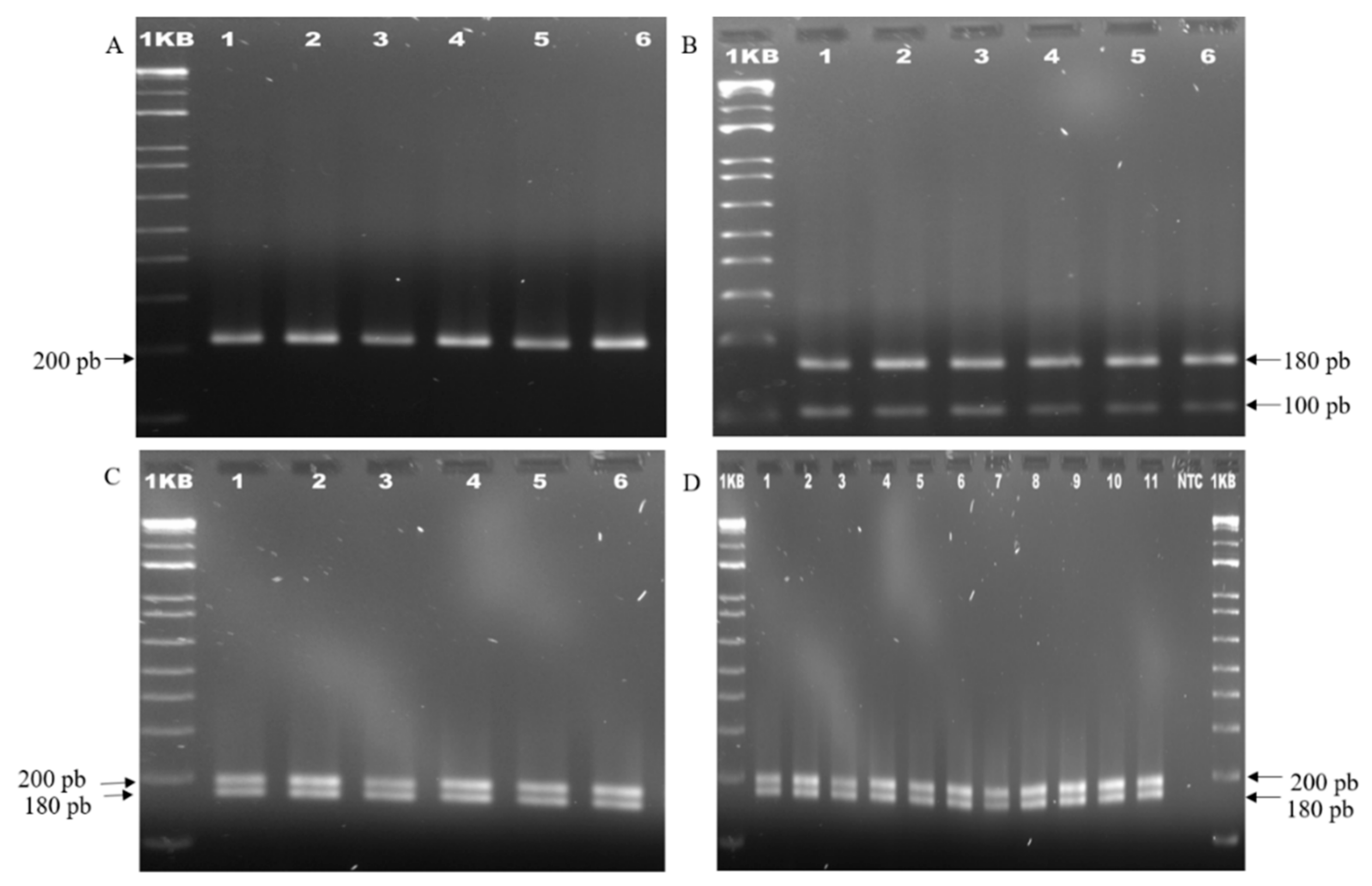 Agriculture 12 00713 g007