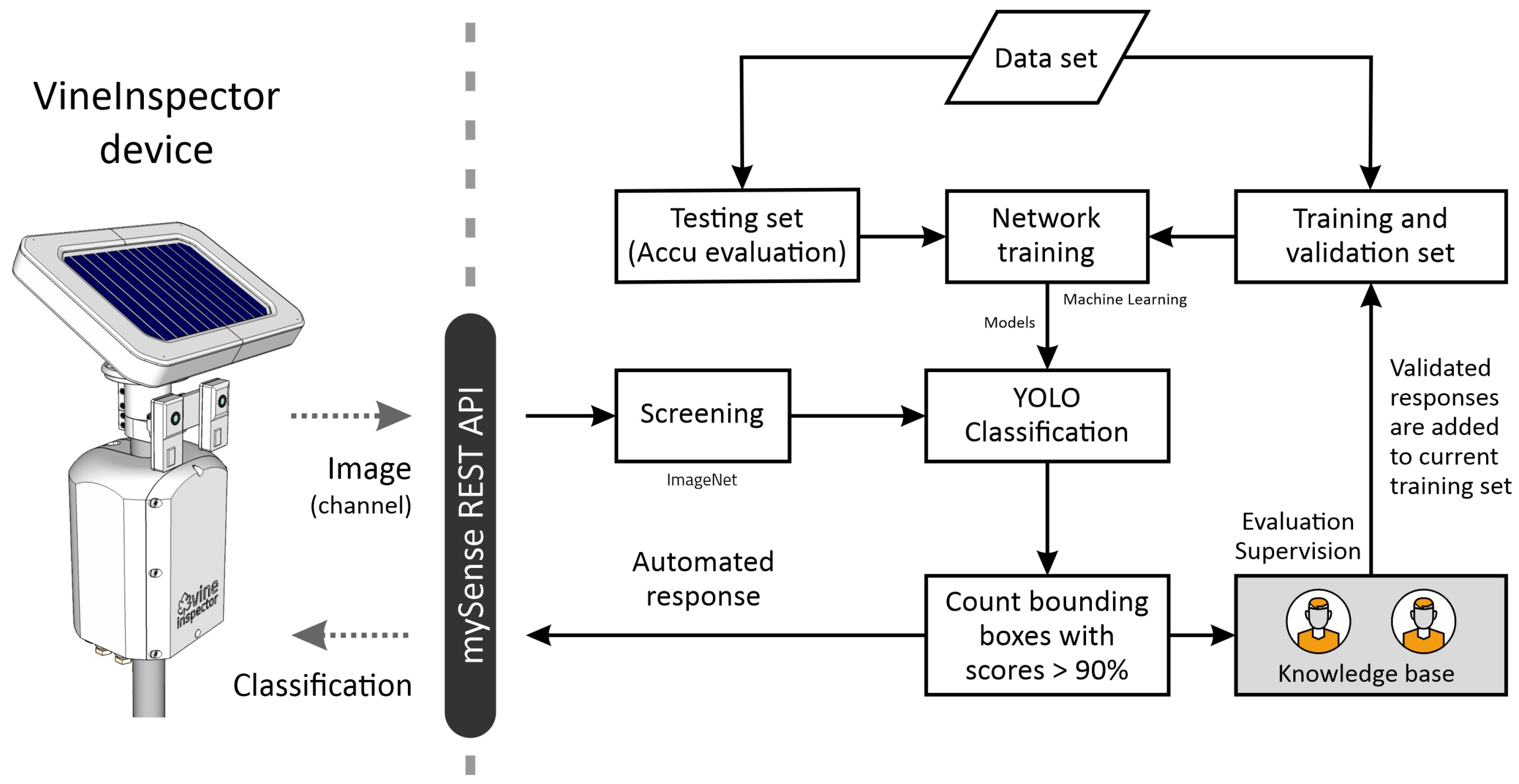 Agriculture 12 00730 g004