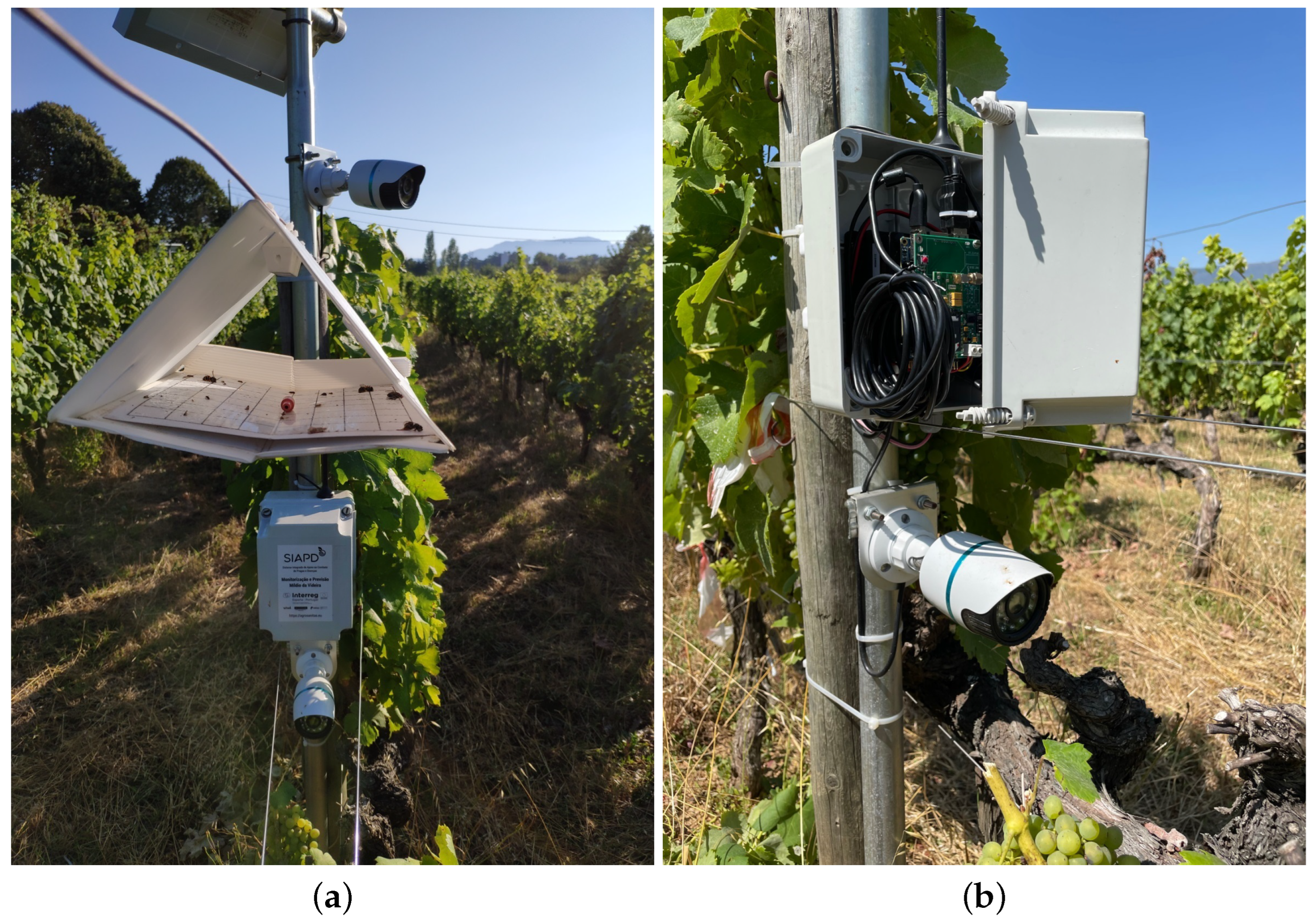 Agriculture 12 00730 g005