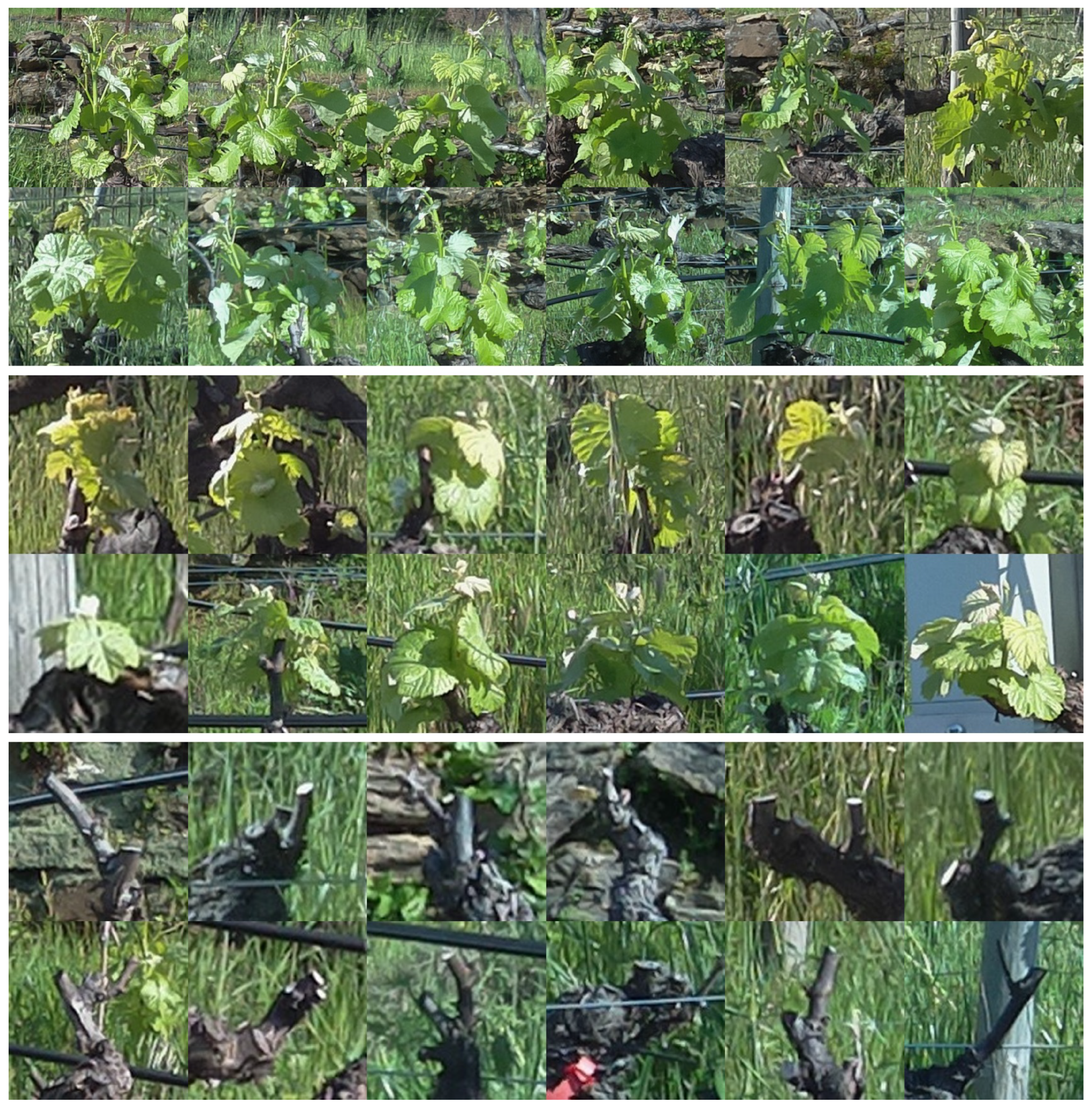 Agriculture 12 00730 g006