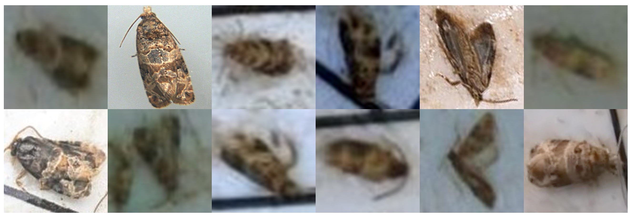 Agriculture 12 00730 g007