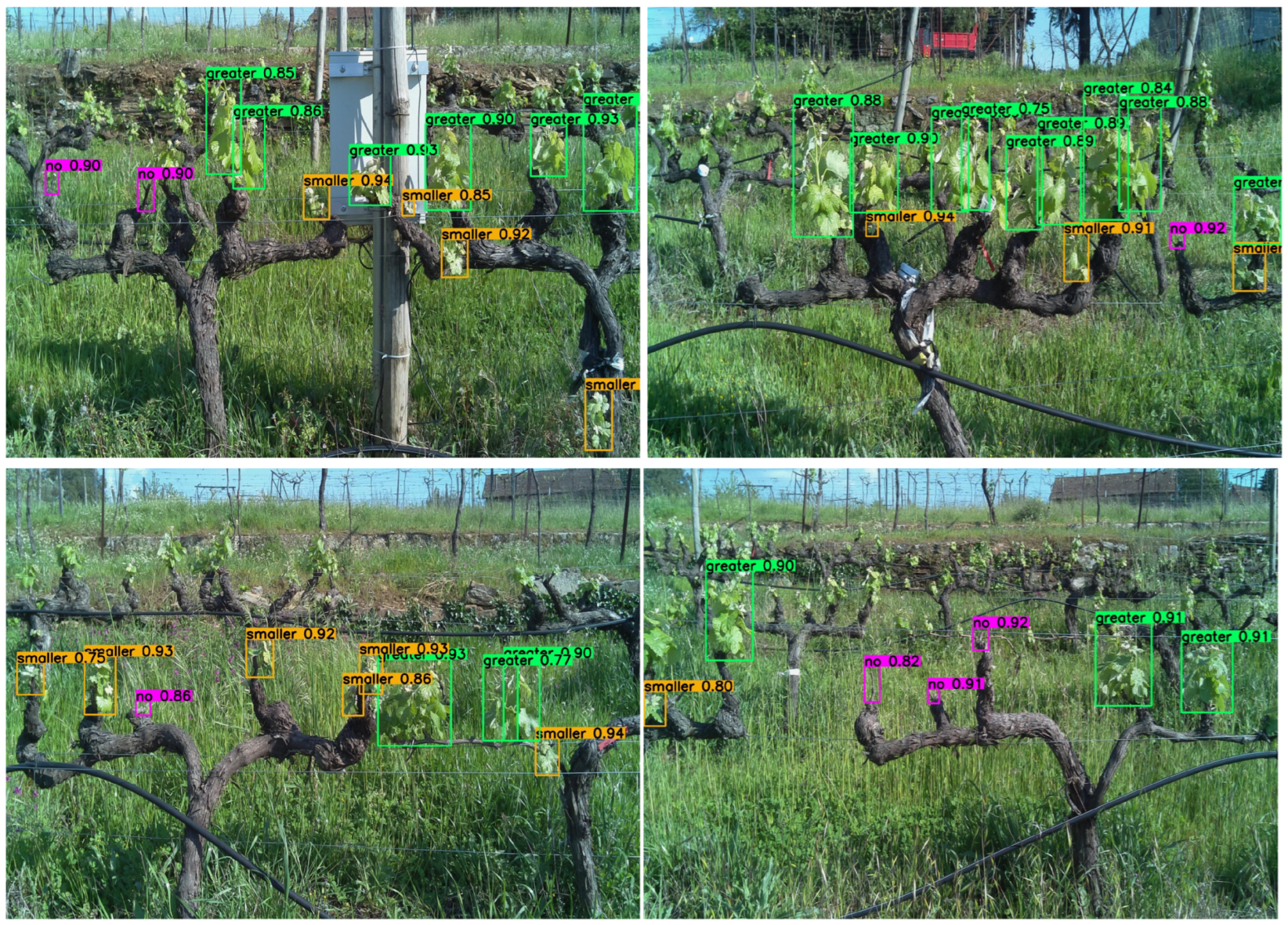 Agriculture 12 00730 g009