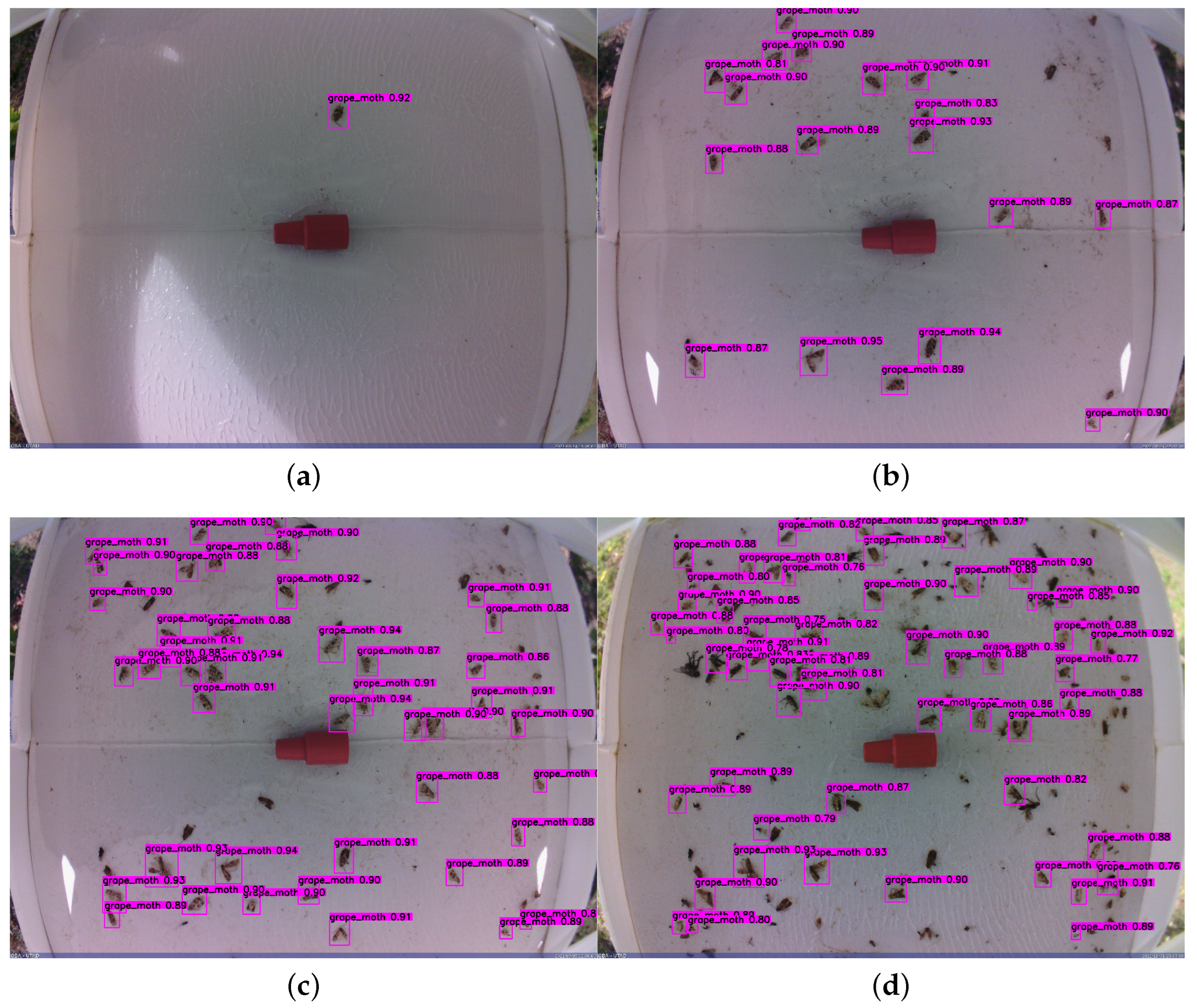 Agriculture 12 00730 g012