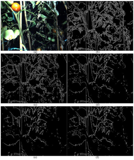 Agriculture 12 00743 g0a2 550