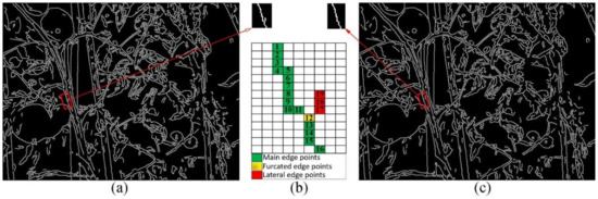 Agriculture 12 00743 g0a3 550