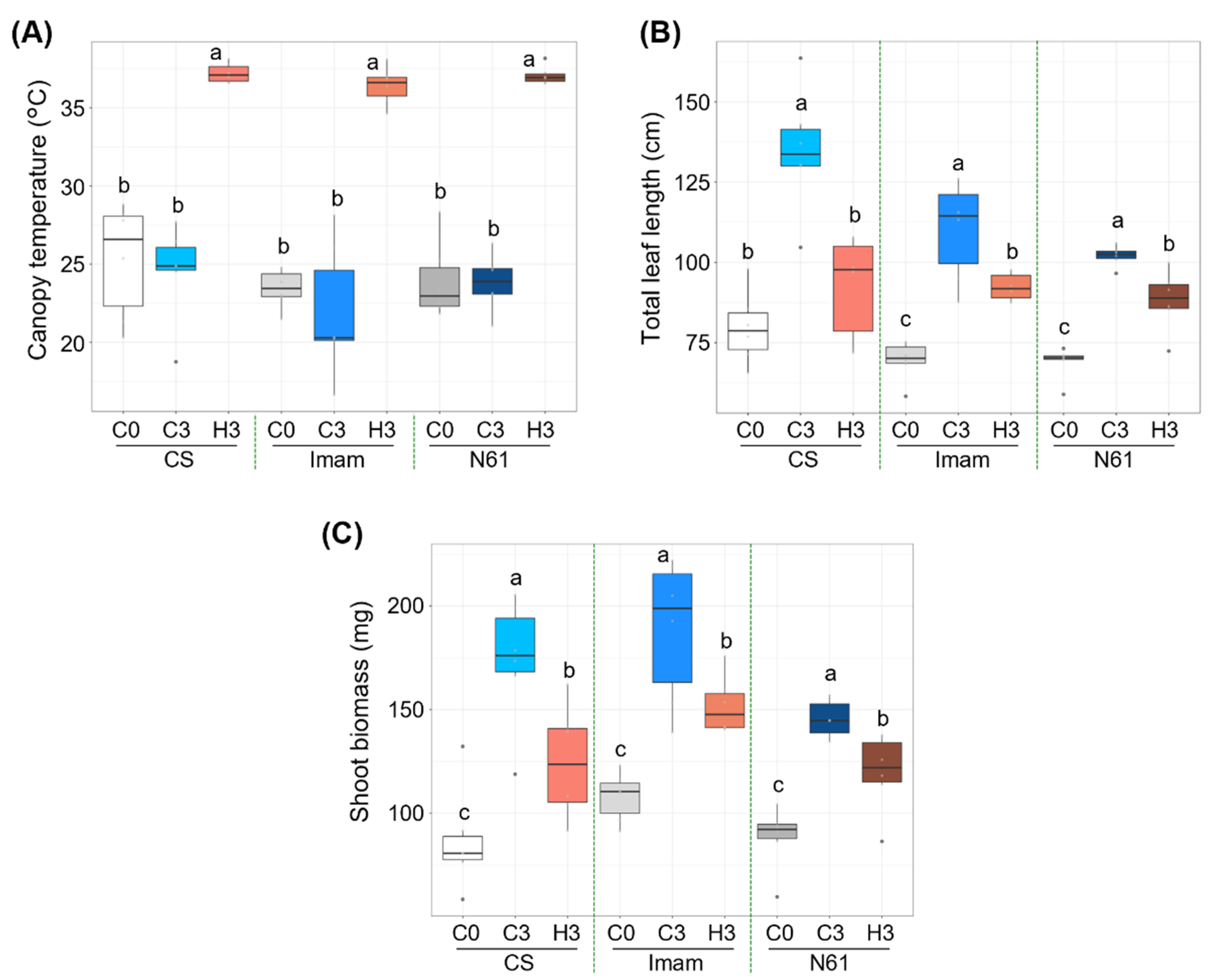 Agriculture 12 00753 g001