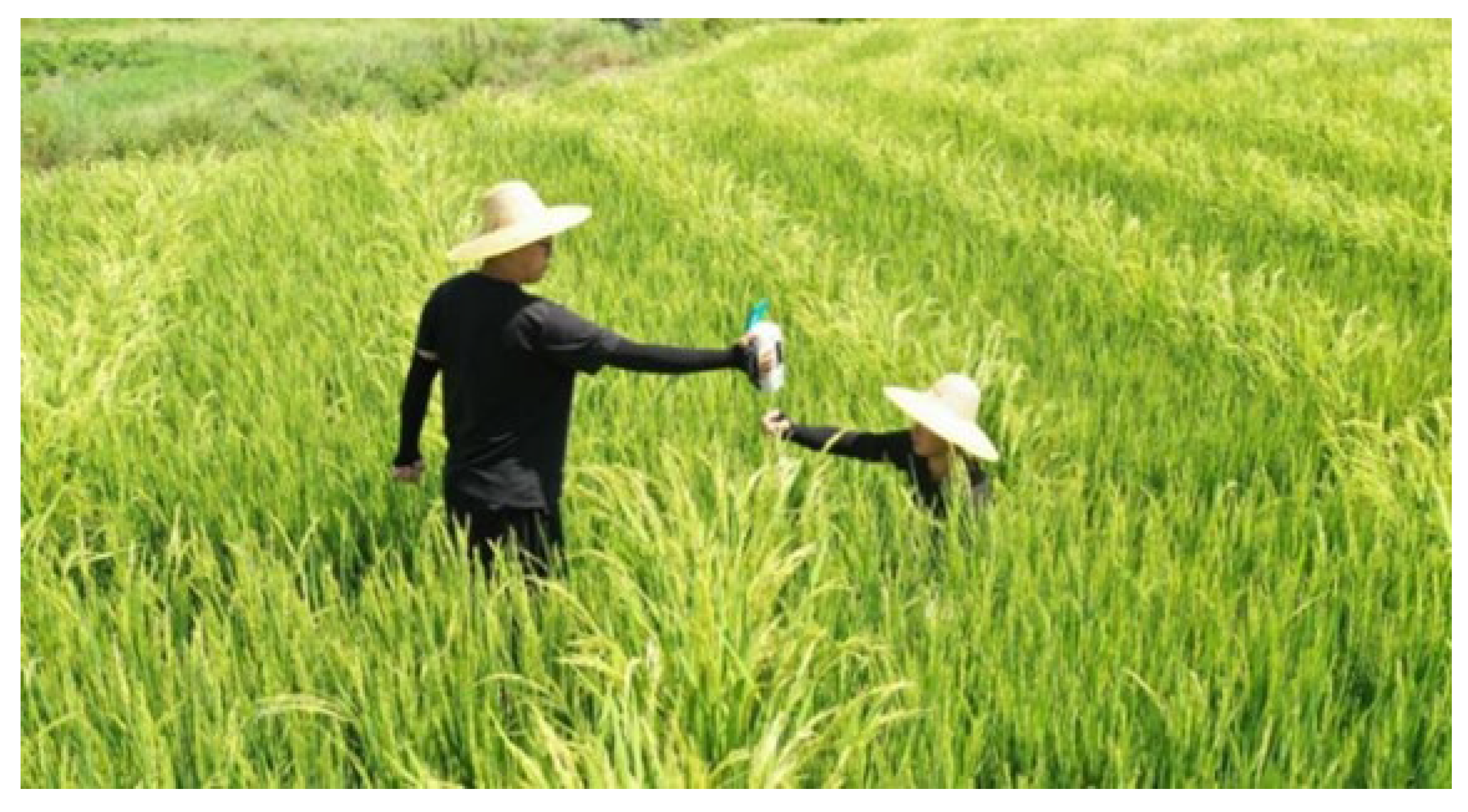 Agriculture 12 00755 g002