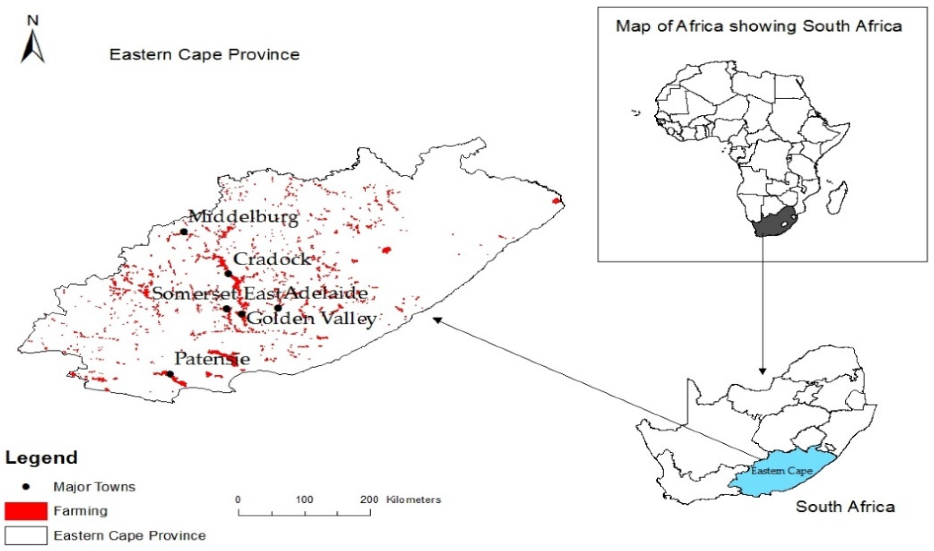 Agriculture 12 00794 g001