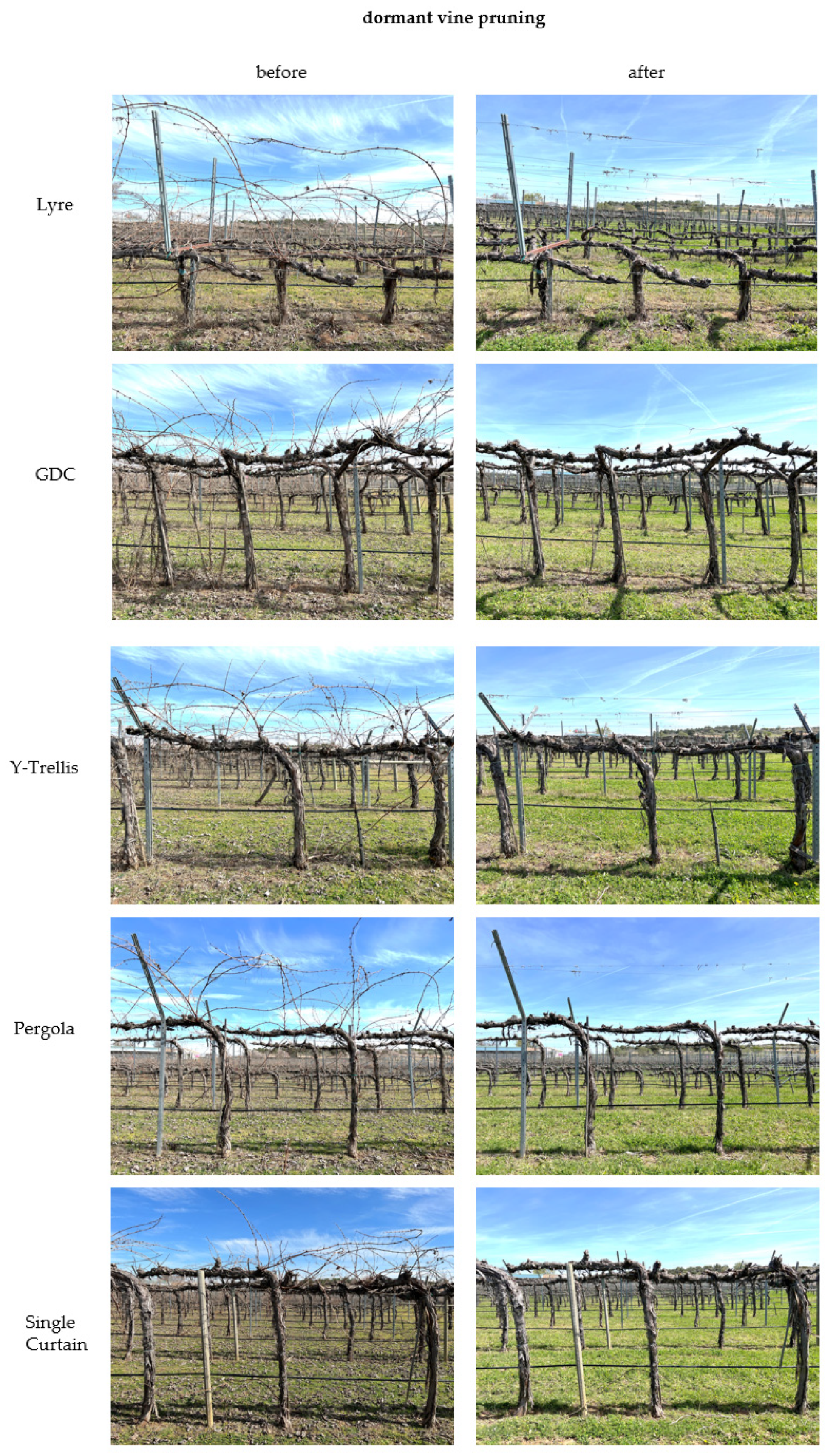 Agriculture 12 00798 g001a