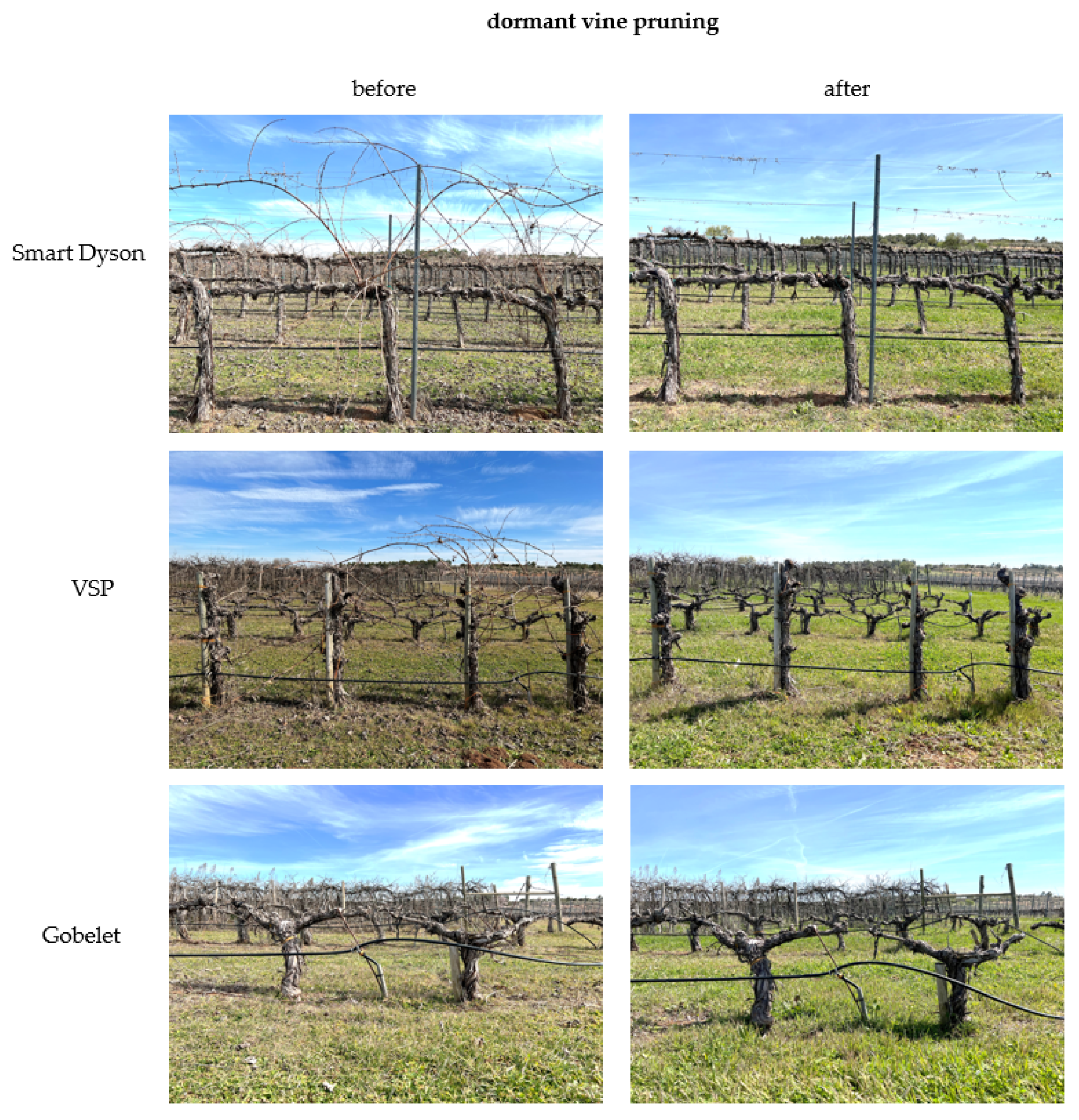 Agriculture 12 00798 g001b