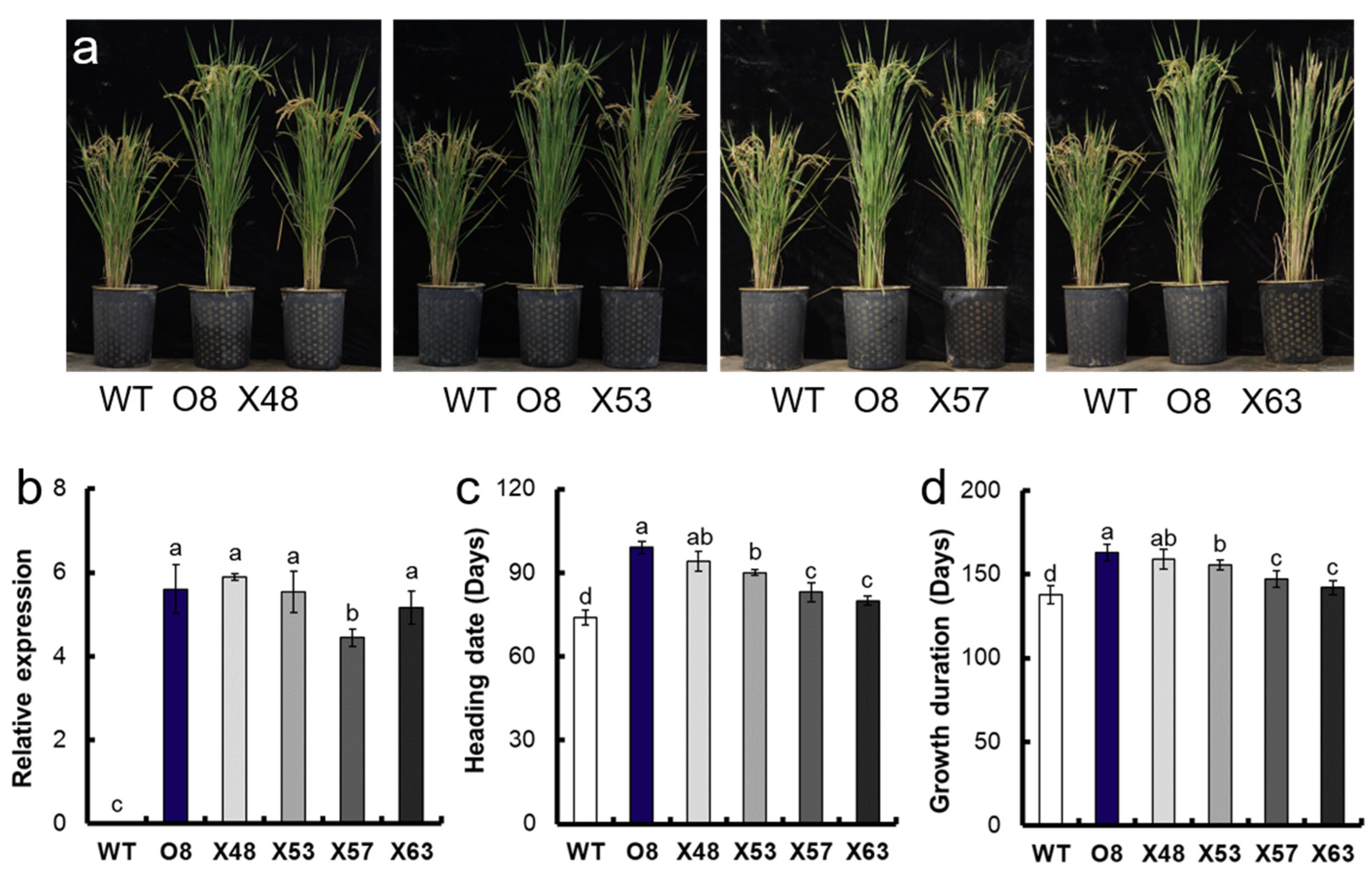 Agriculture 12 00799 g003