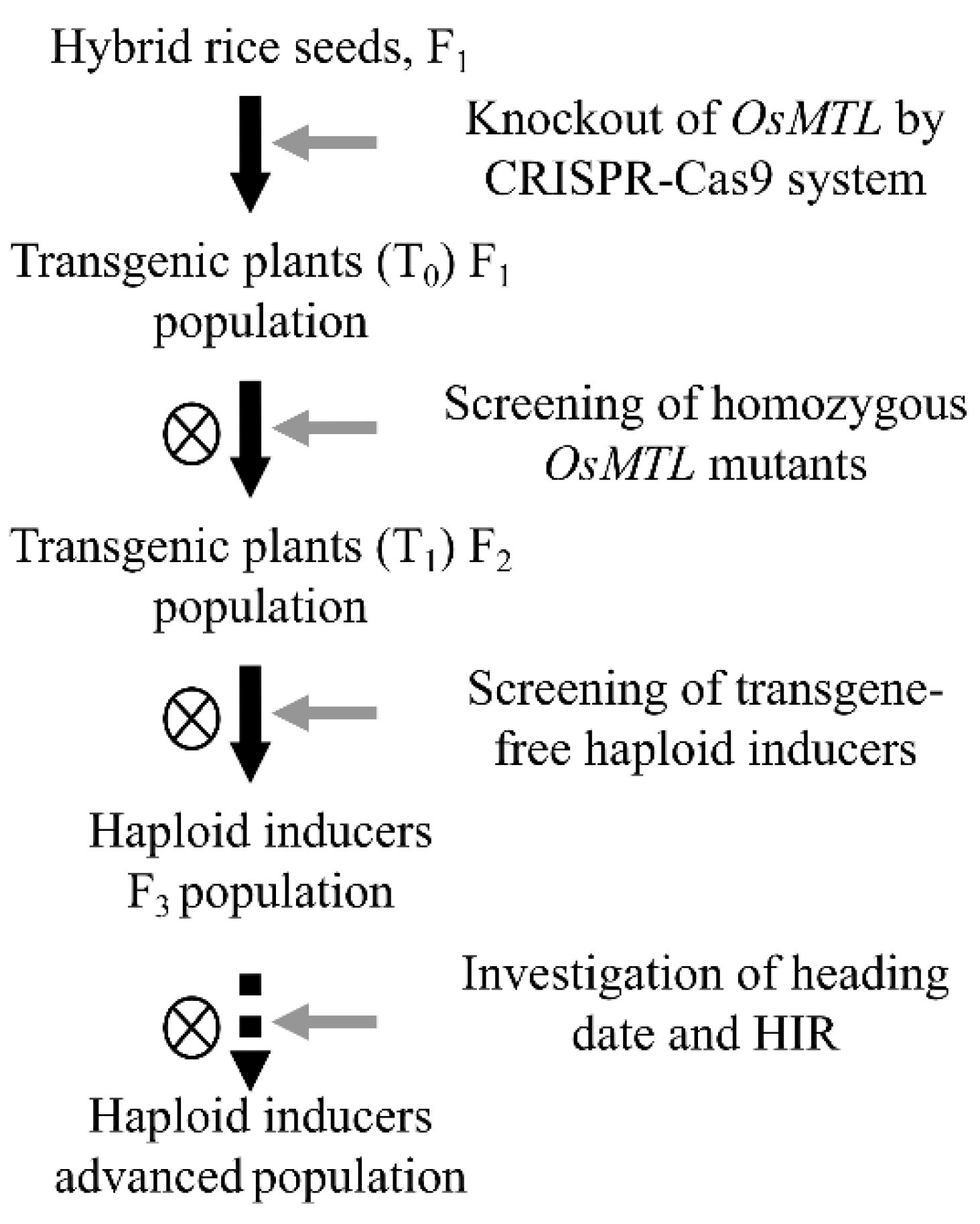 Agriculture 12 00806 g001