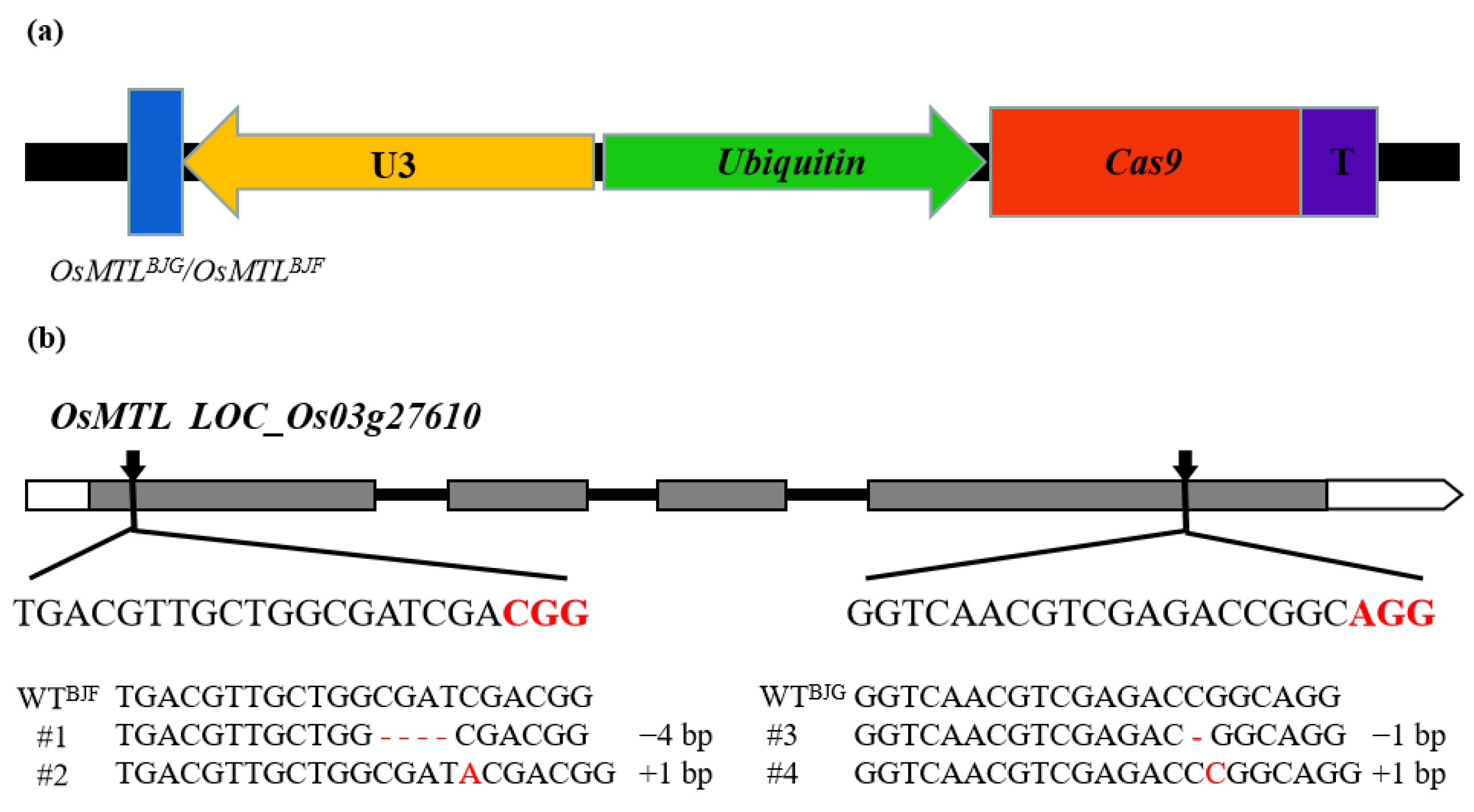 Agriculture 12 00806 g002