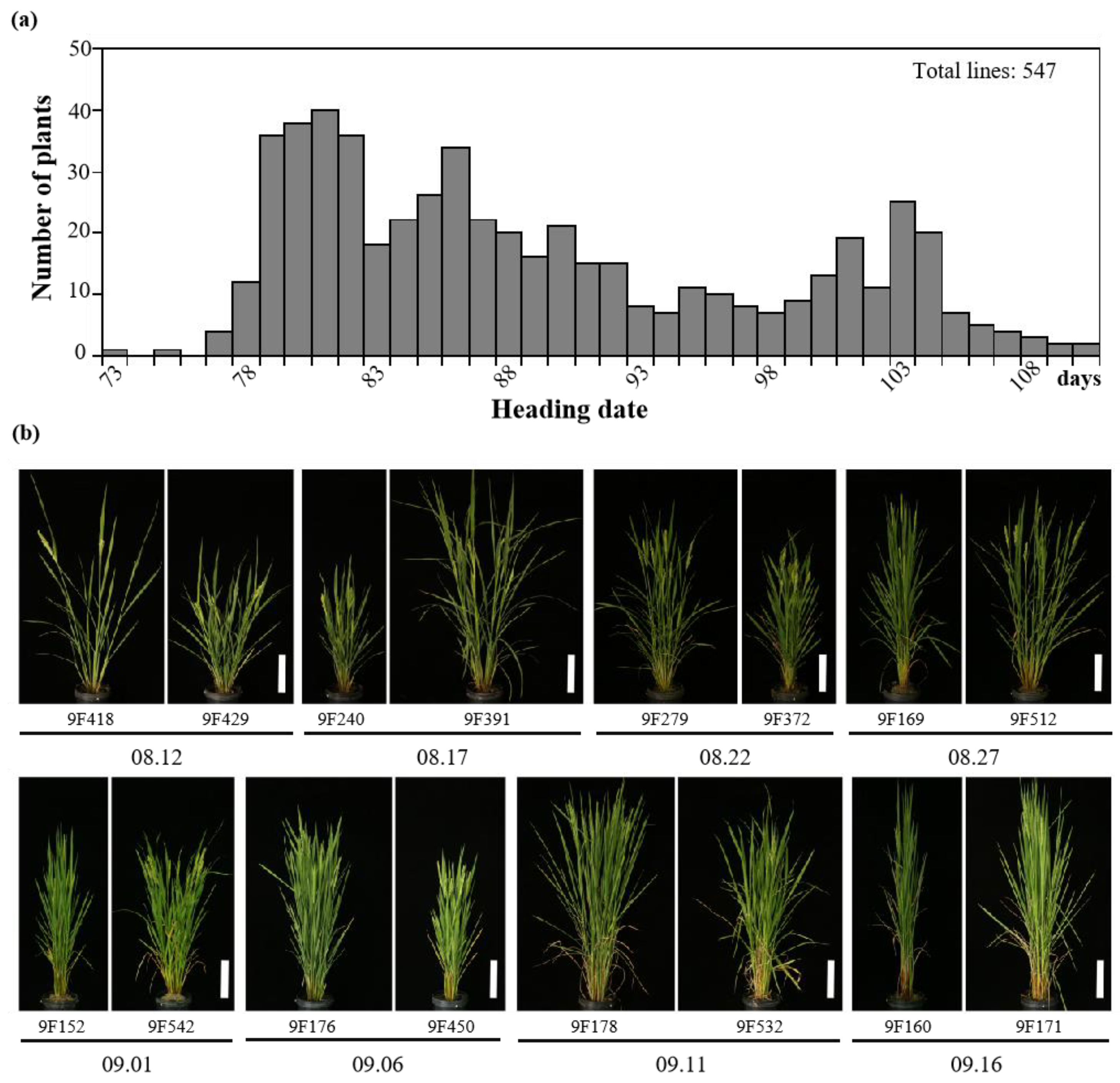 Agriculture 12 00806 g004
