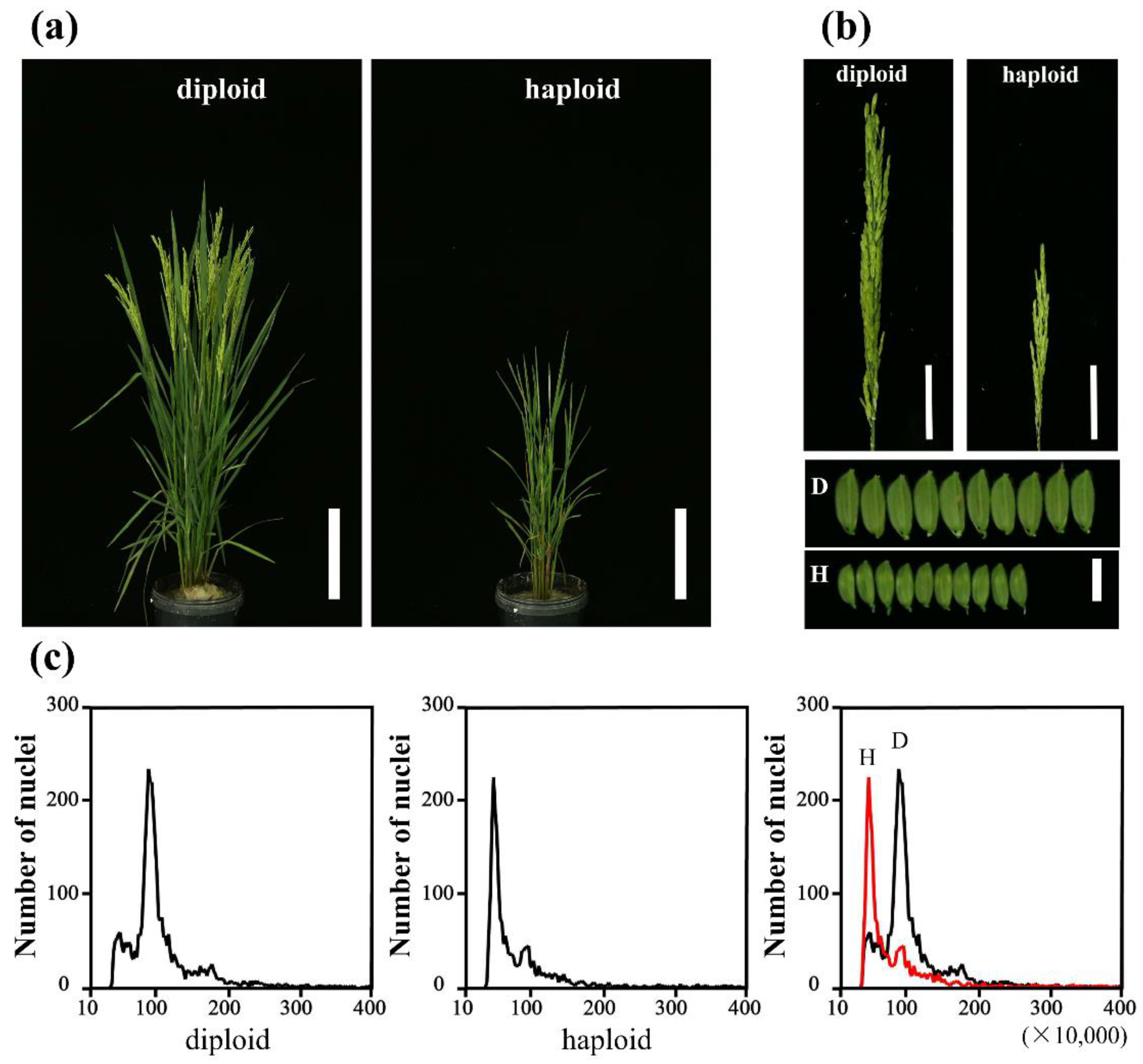 Agriculture 12 00806 g005