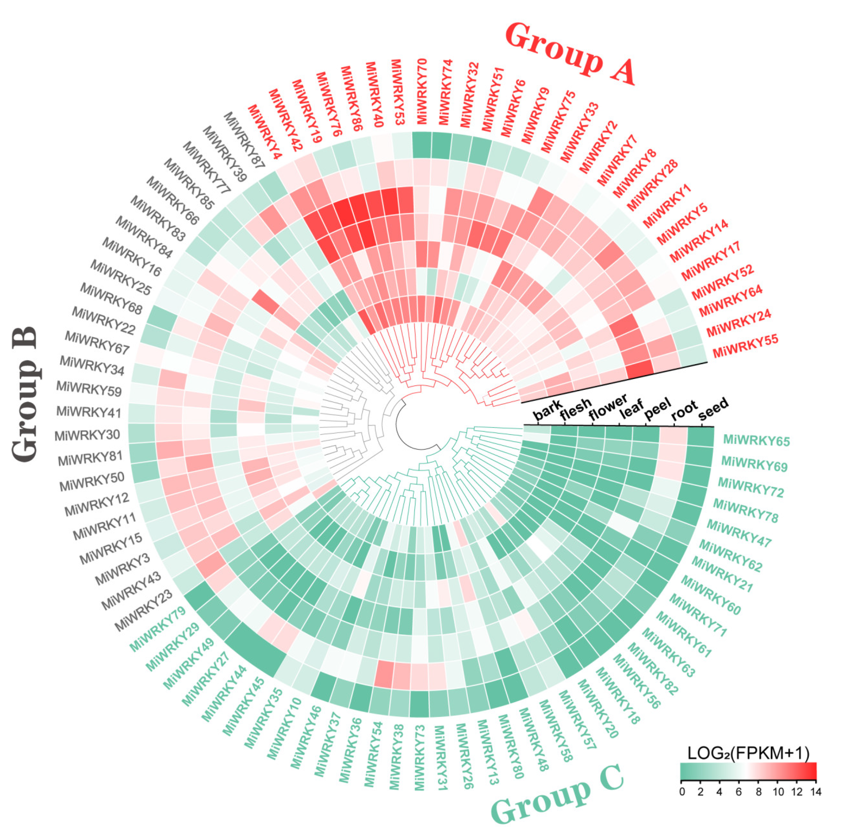 Agriculture 12 00821 g006