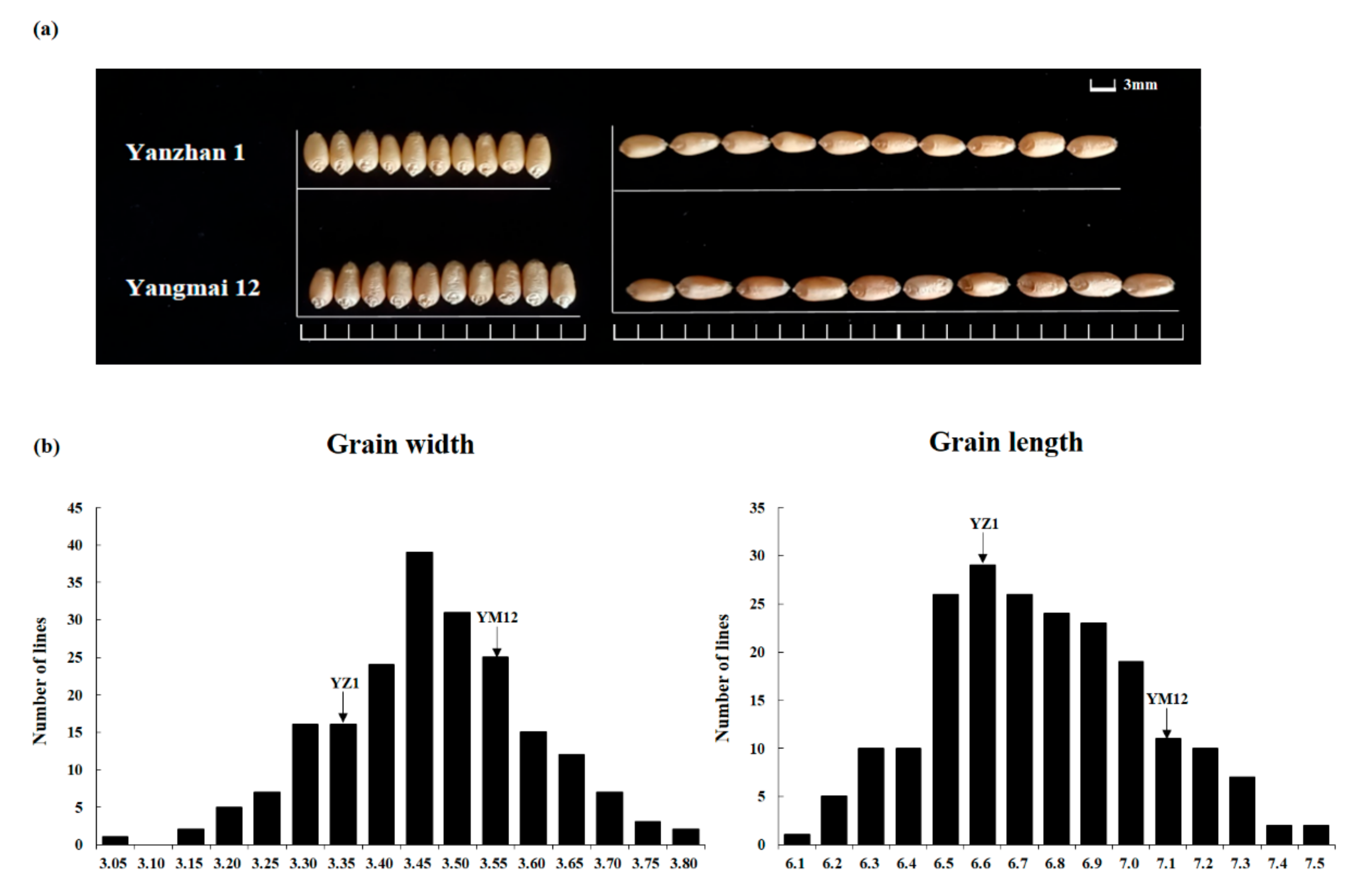 Agriculture 12 00822 g001