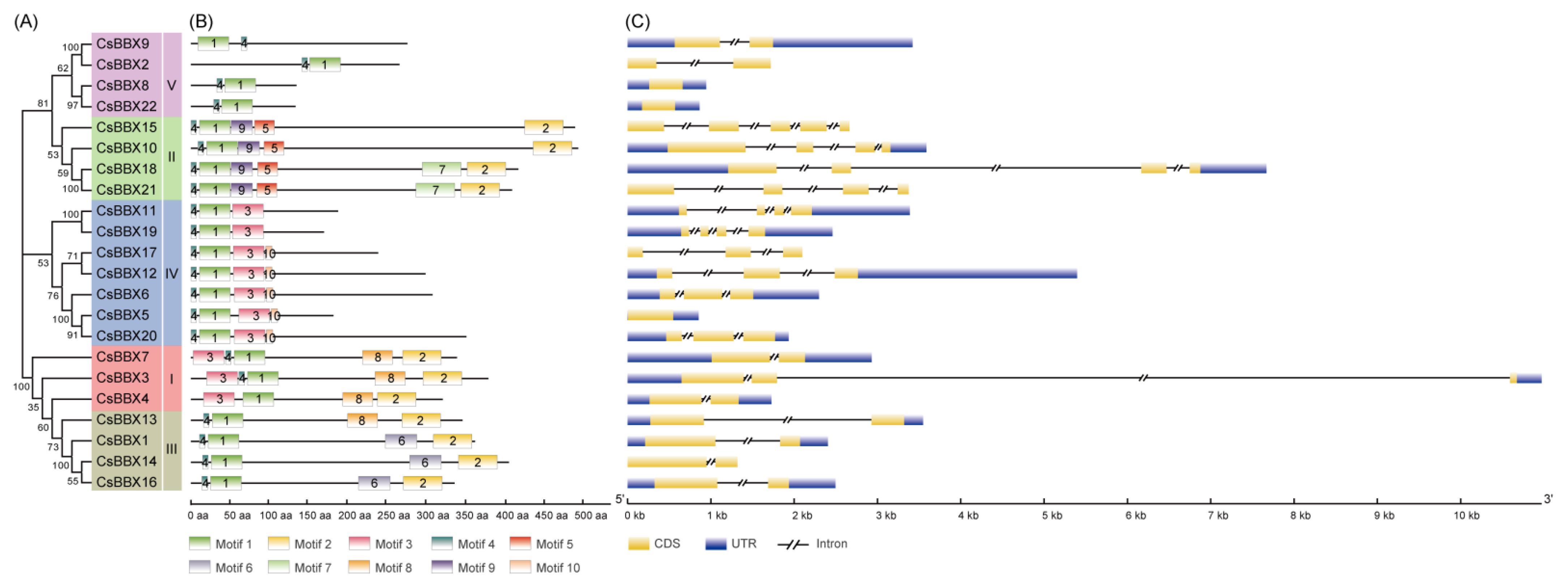Agriculture 12 00827 g002