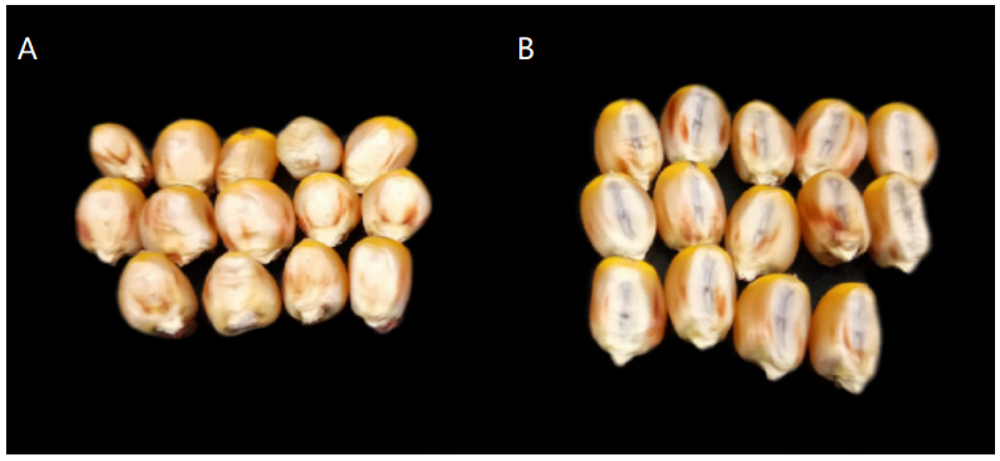 Agriculture 12 00845 g001