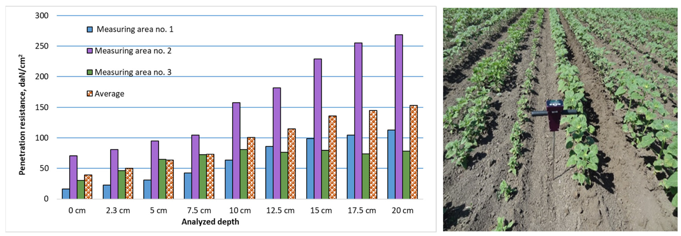 Agriculture 12 00846 g012