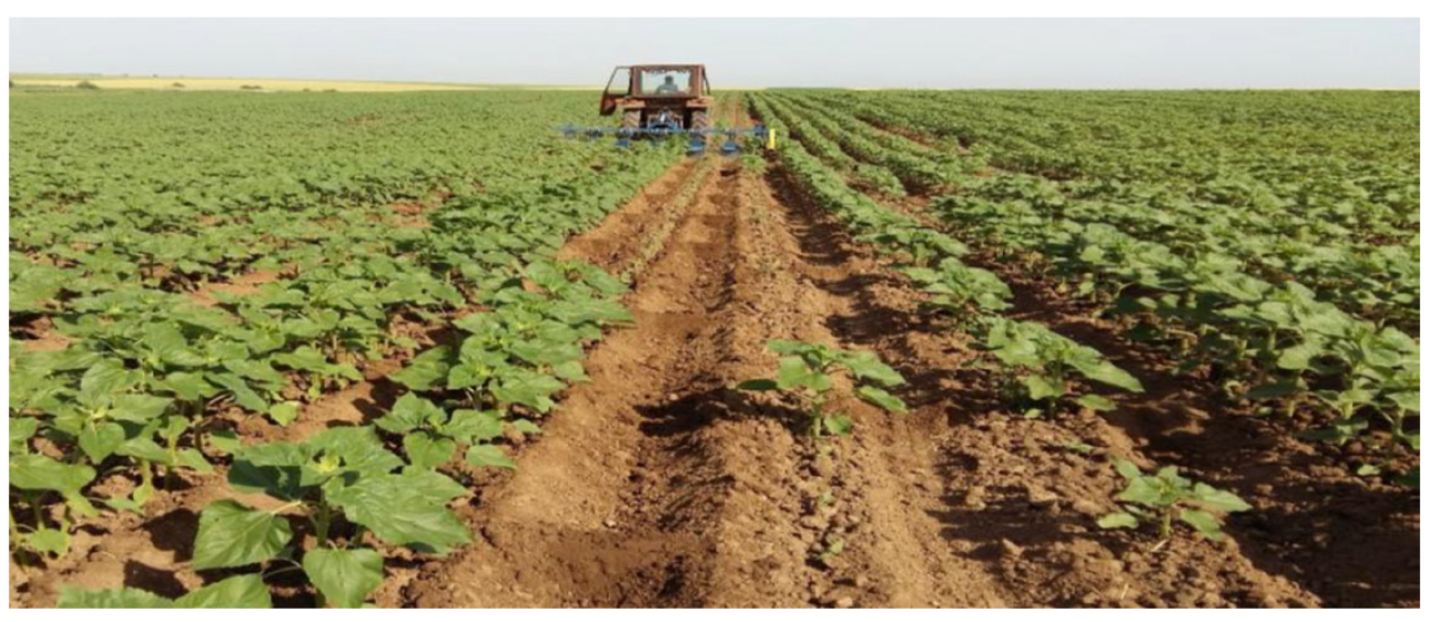 Agriculture 12 00846 g014