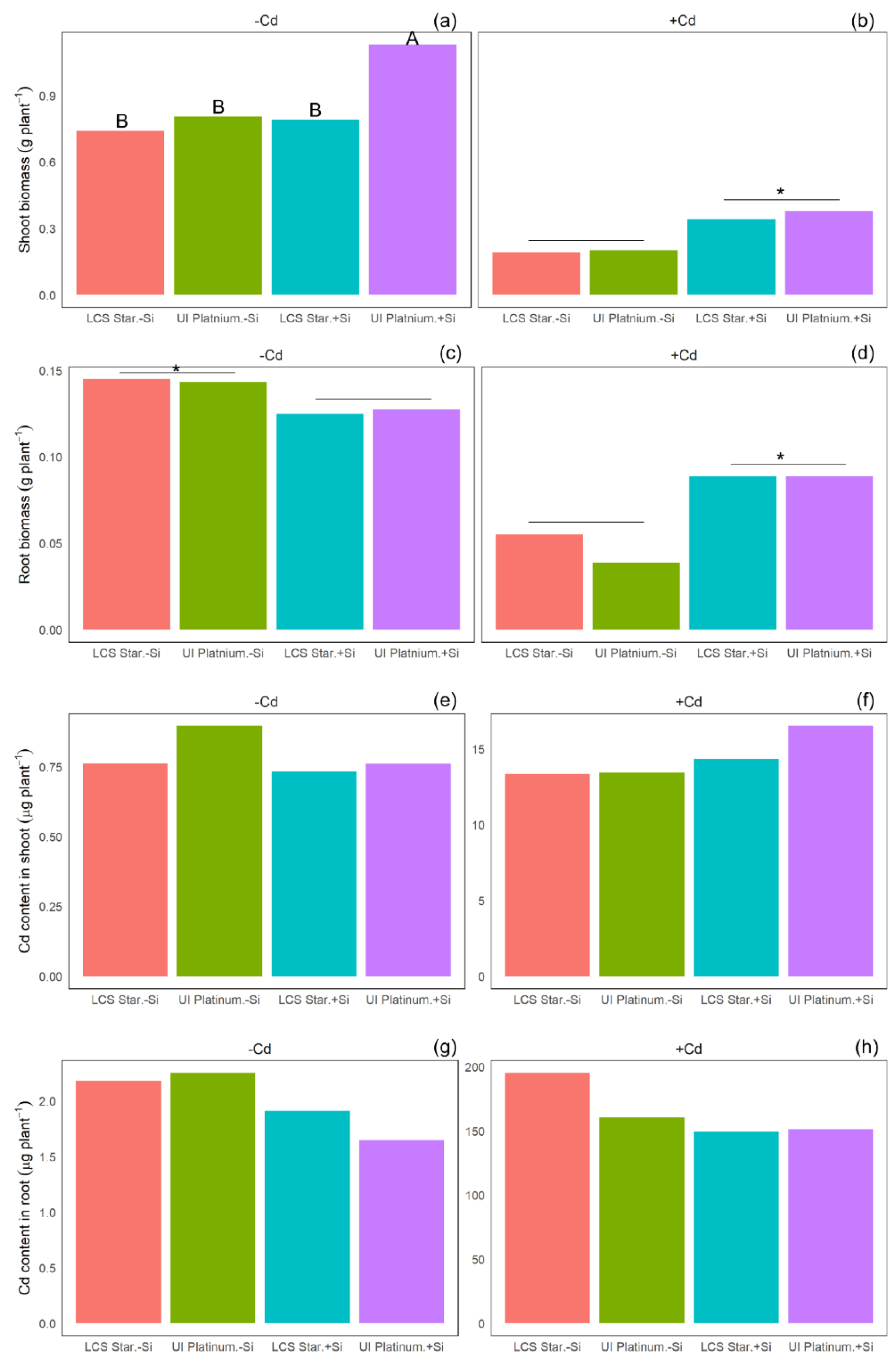 Agriculture 12 00848 g001