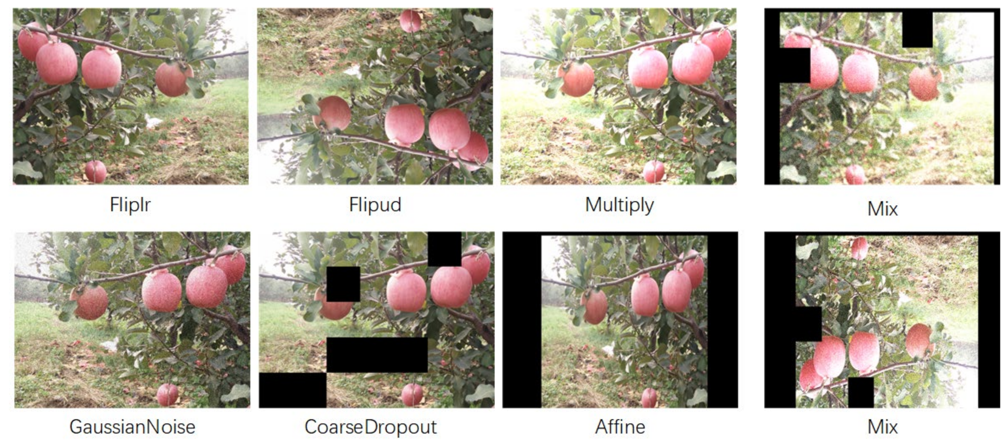 Agriculture 12 00856 g002