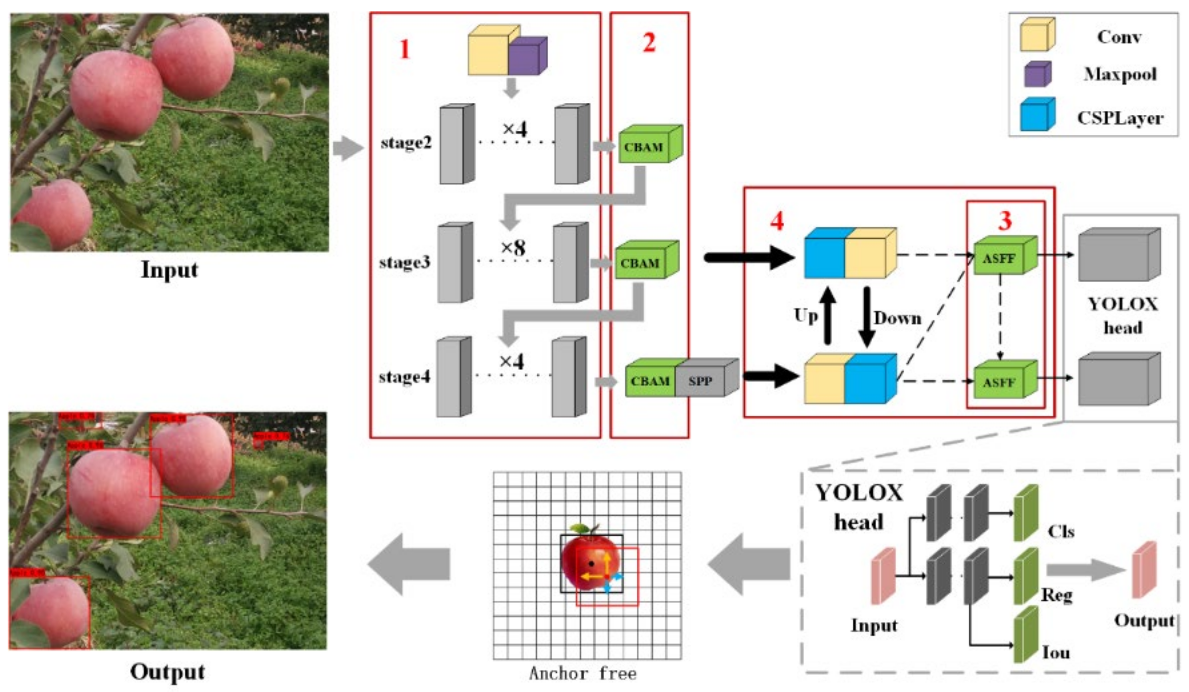 Agriculture 12 00856 g003