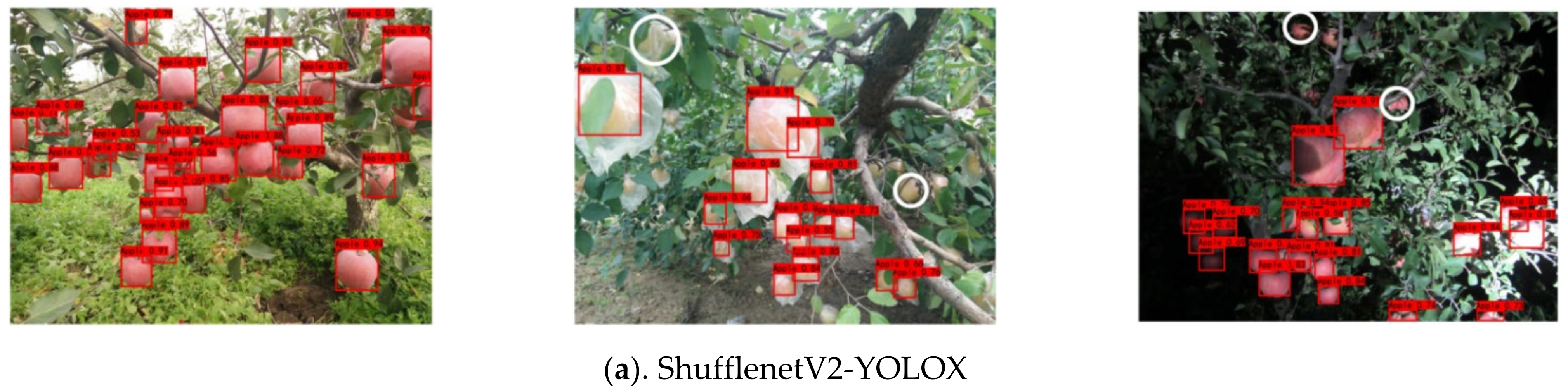 Agriculture 12 00856 g009a