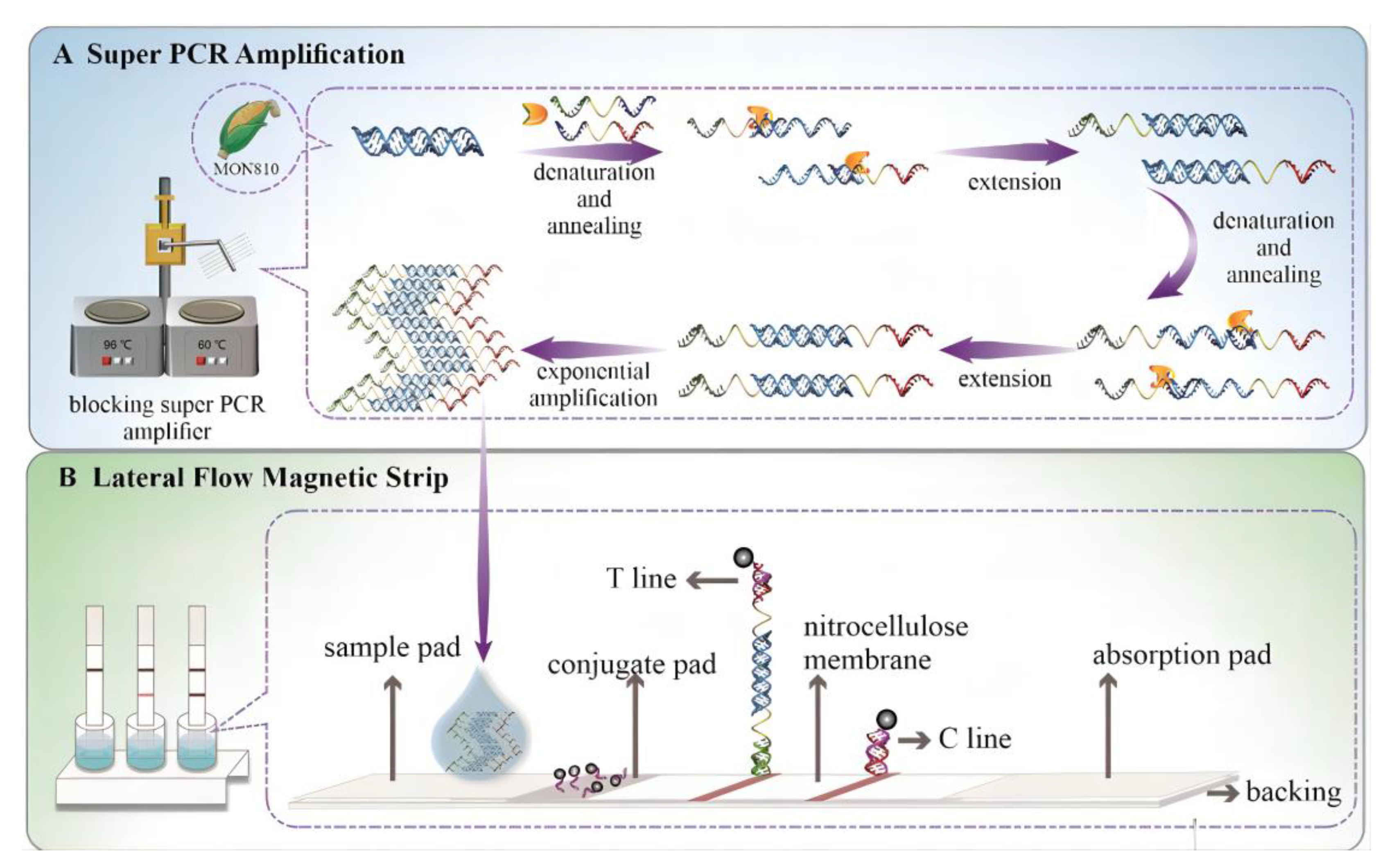 Agriculture 12 00888 g002