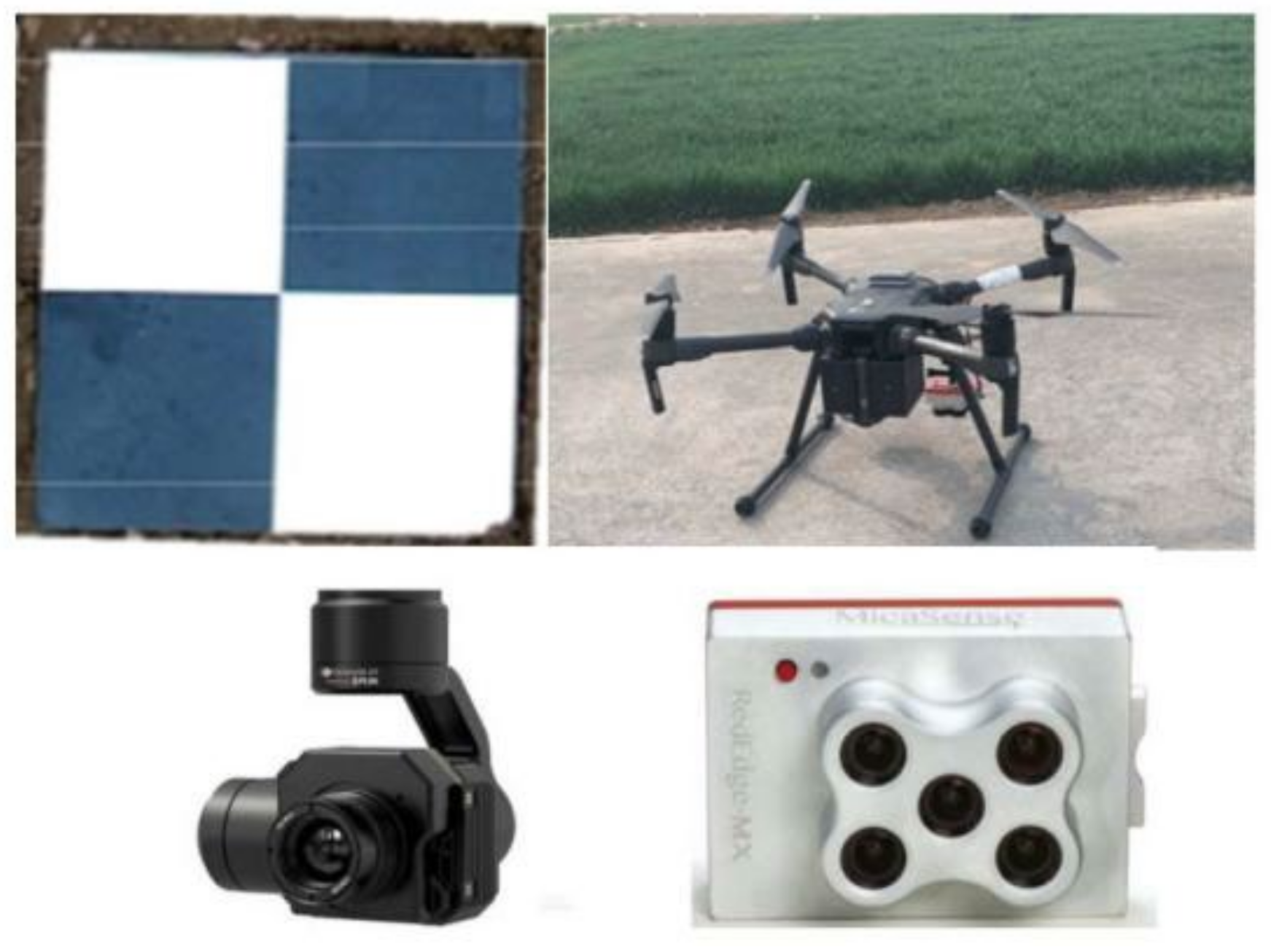 Agriculture 12 00892 g001