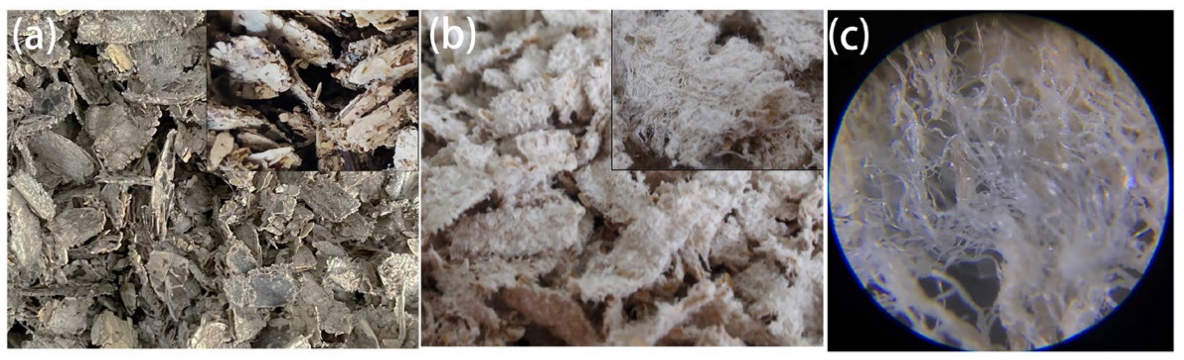 Agriculture 12 00904 g002