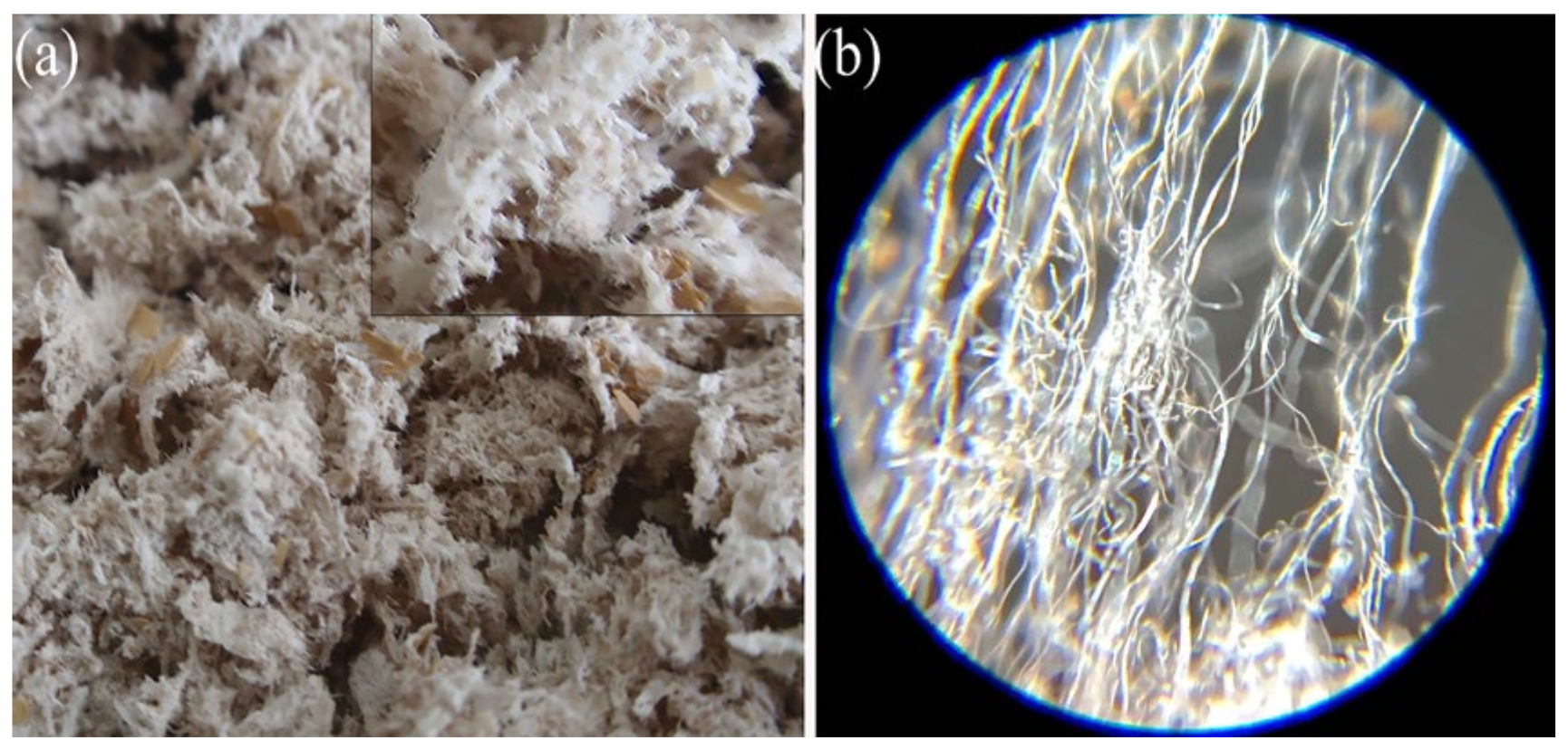 Agriculture 12 00904 g005