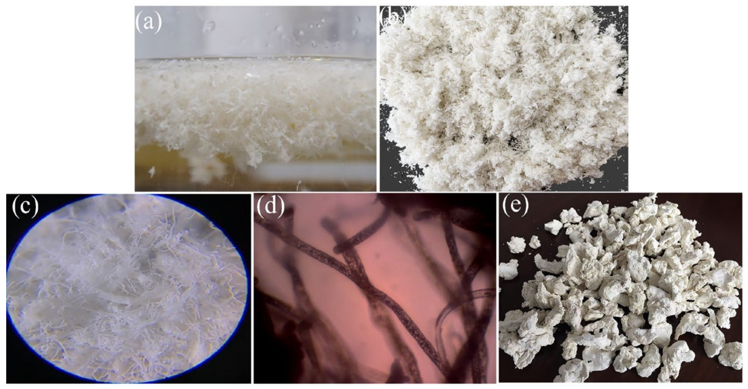 Agriculture 12 00904 g008