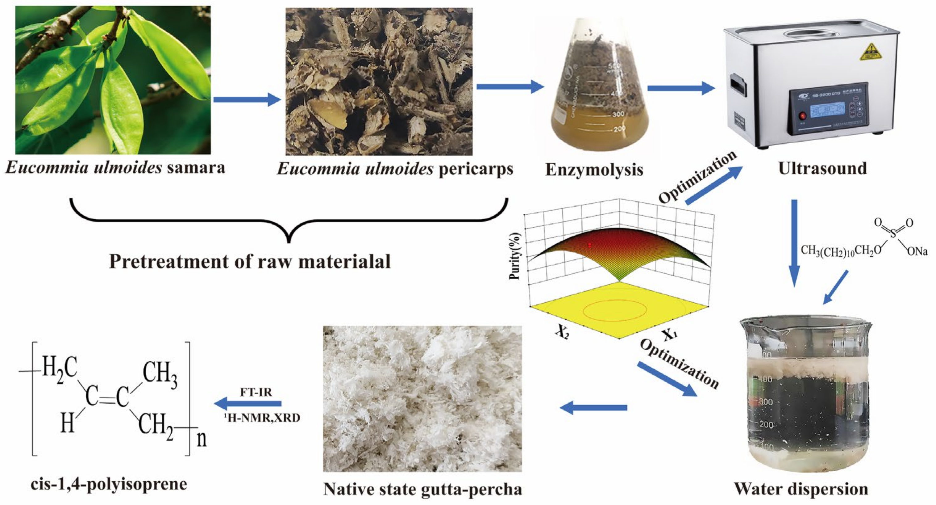 Agriculture 12 00904 sch001