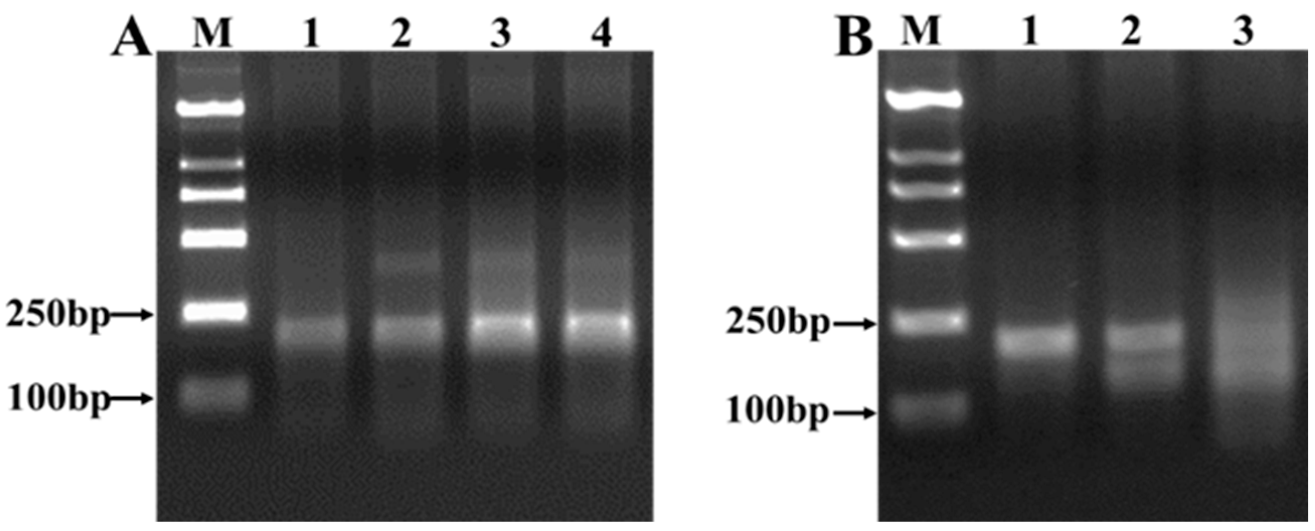 Agriculture 12 00927 g002