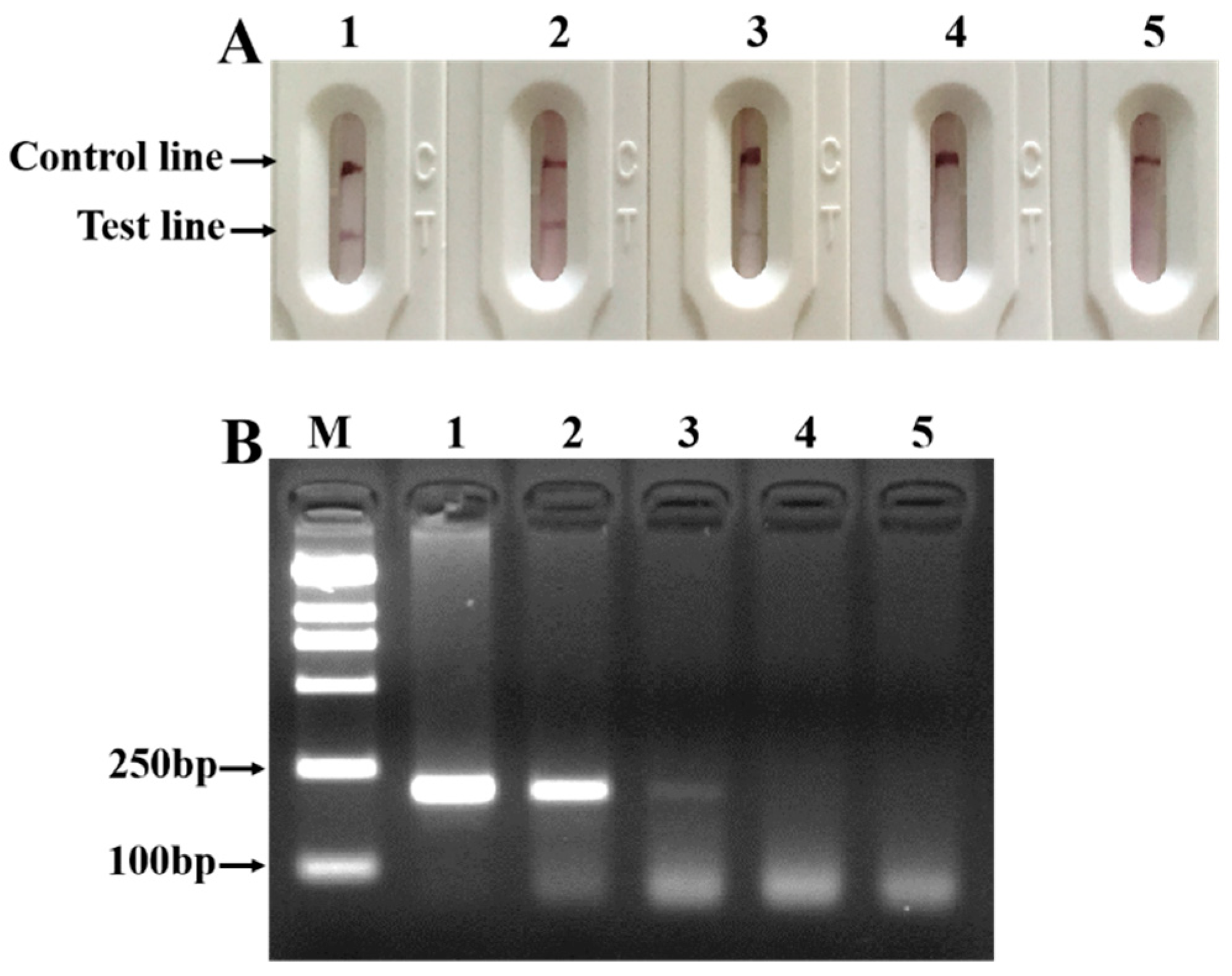 Agriculture 12 00927 g004