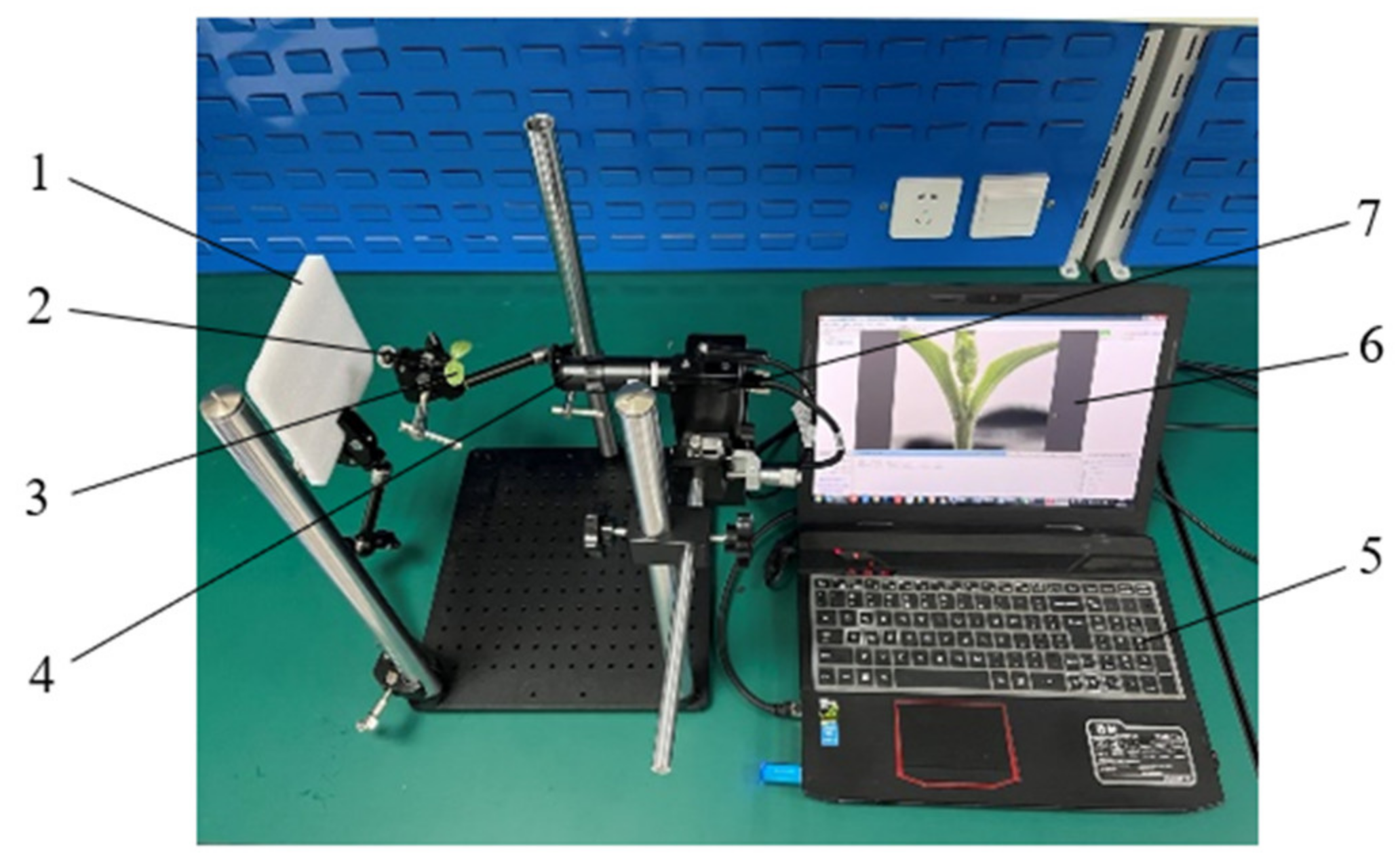 Agriculture 12 00929 g004