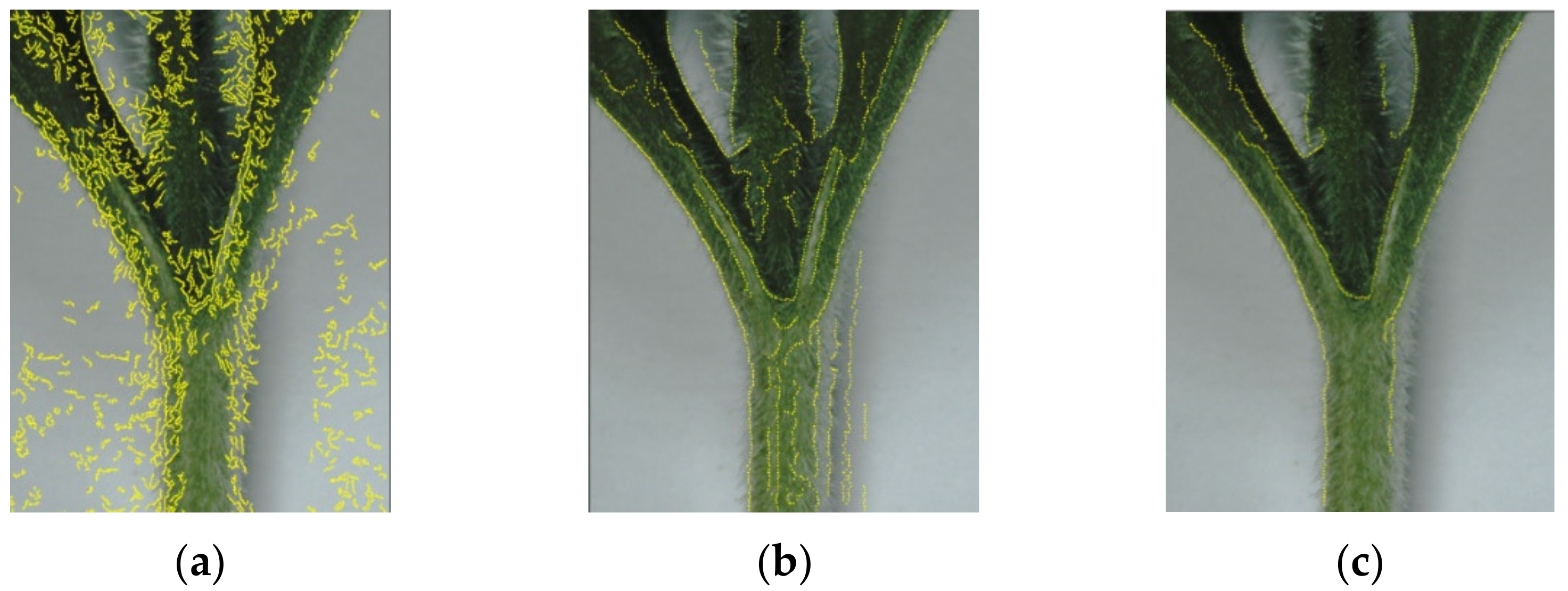 Agriculture 12 00929 g006