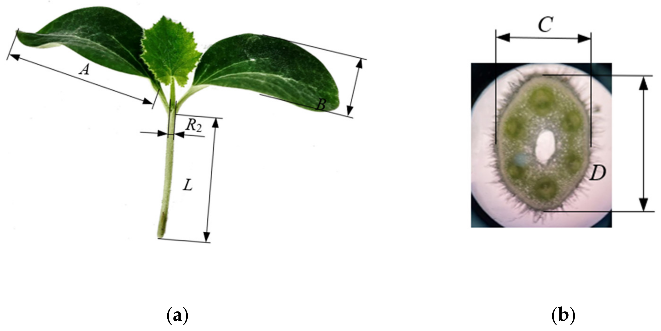 Agriculture 12 00929 g009