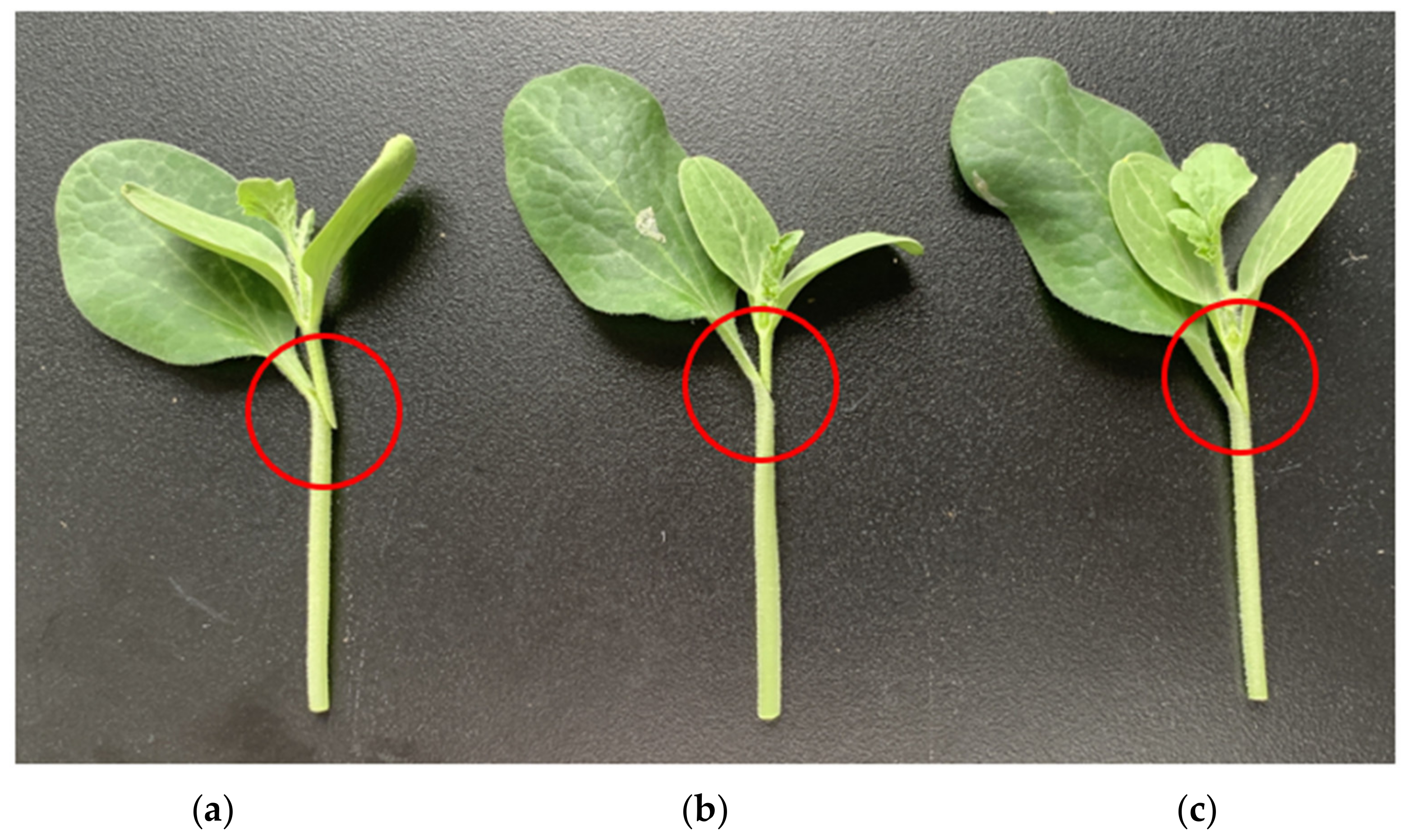 Agriculture 12 00929 g011