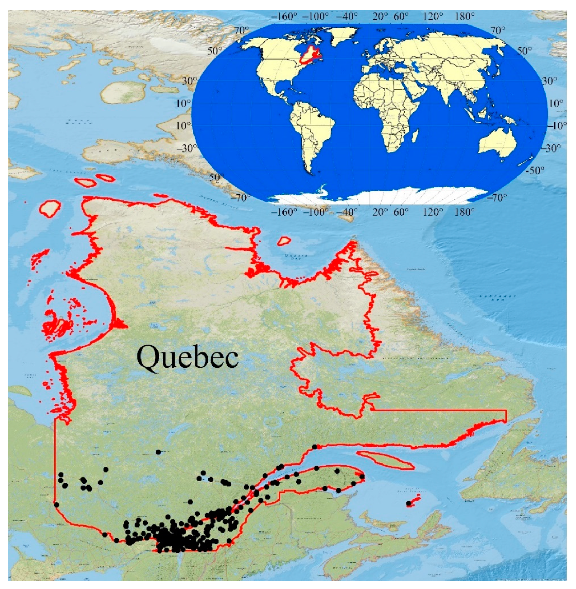 Agriculture 12 00933 g001