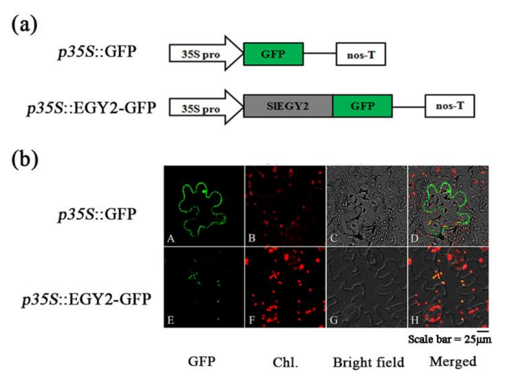 Agriculture 12 00940 g002
