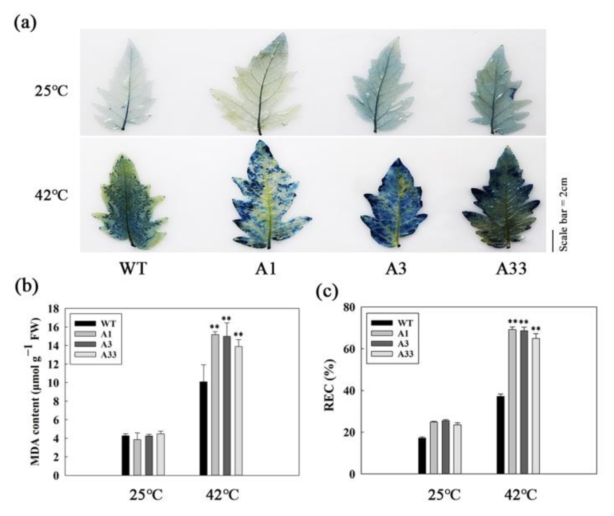 Agriculture 12 00940 g005
