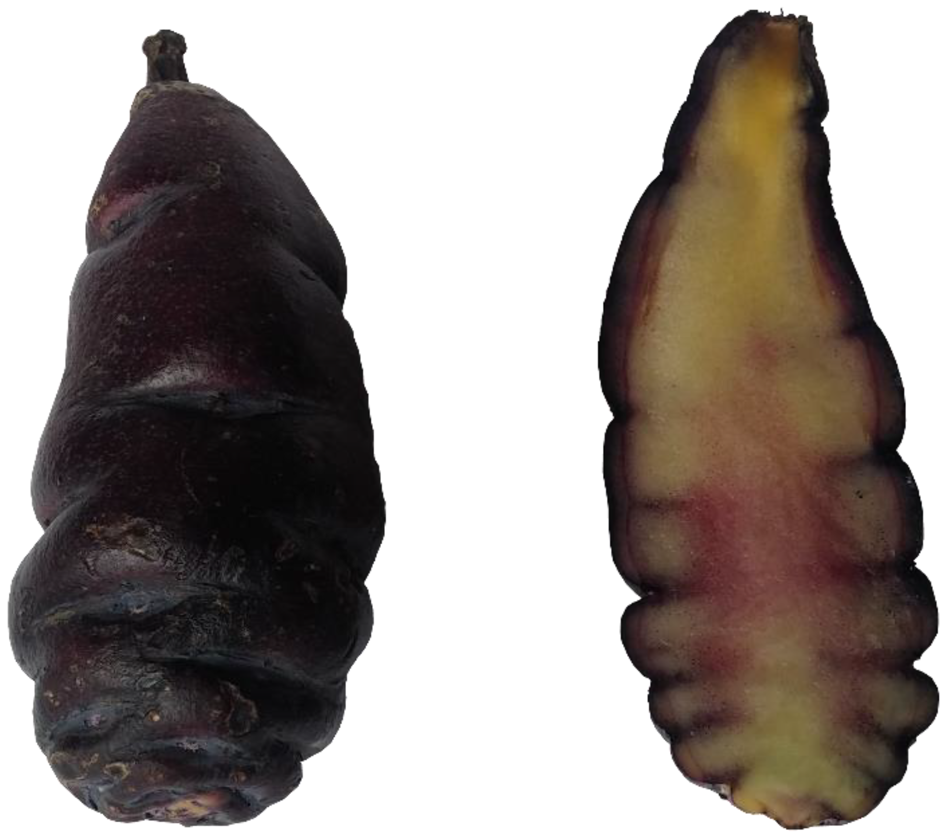 Agriculture 12 00943 g001