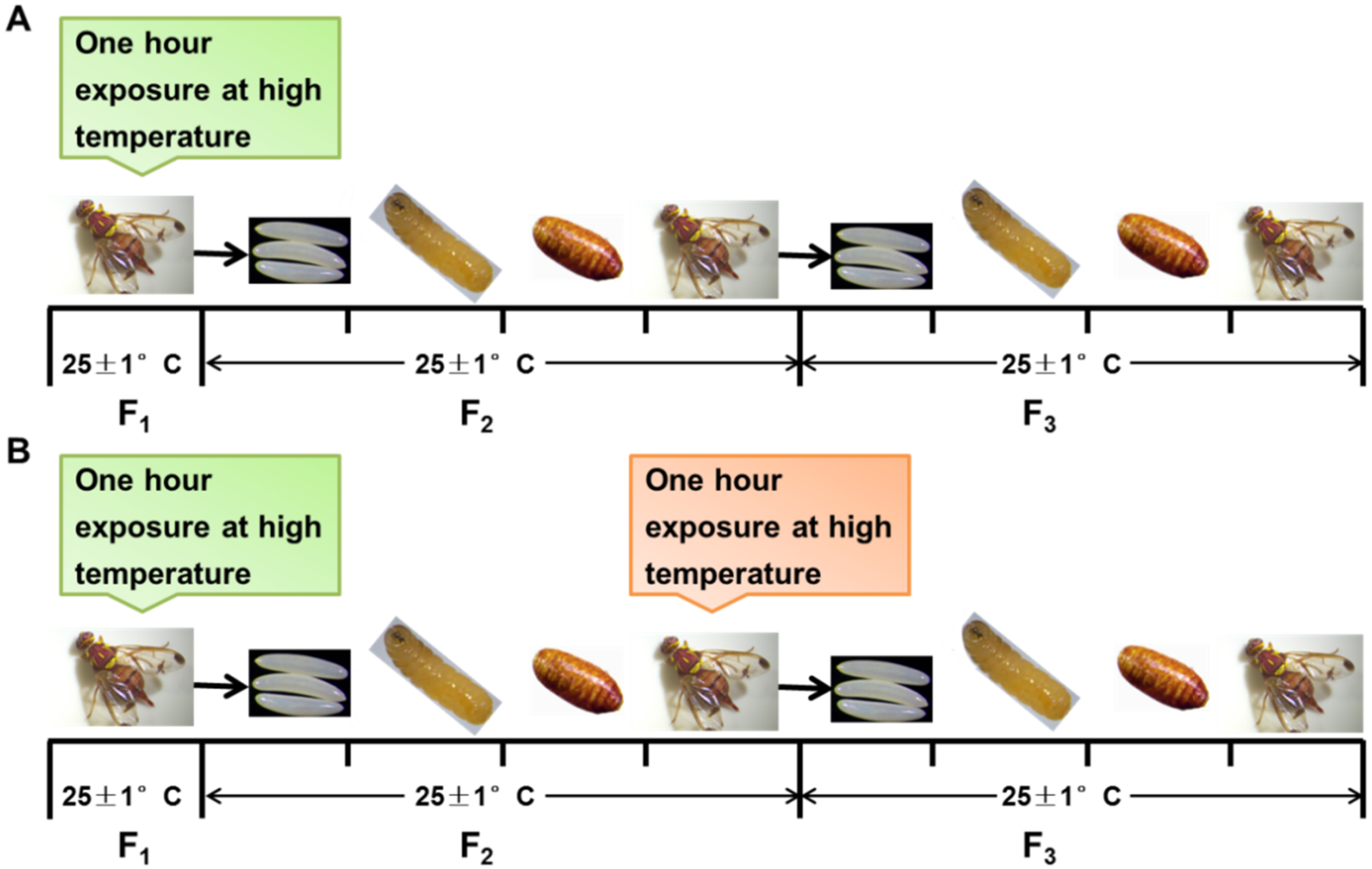 Agriculture 12 00954 g001 Agriculture 12 00954 g001