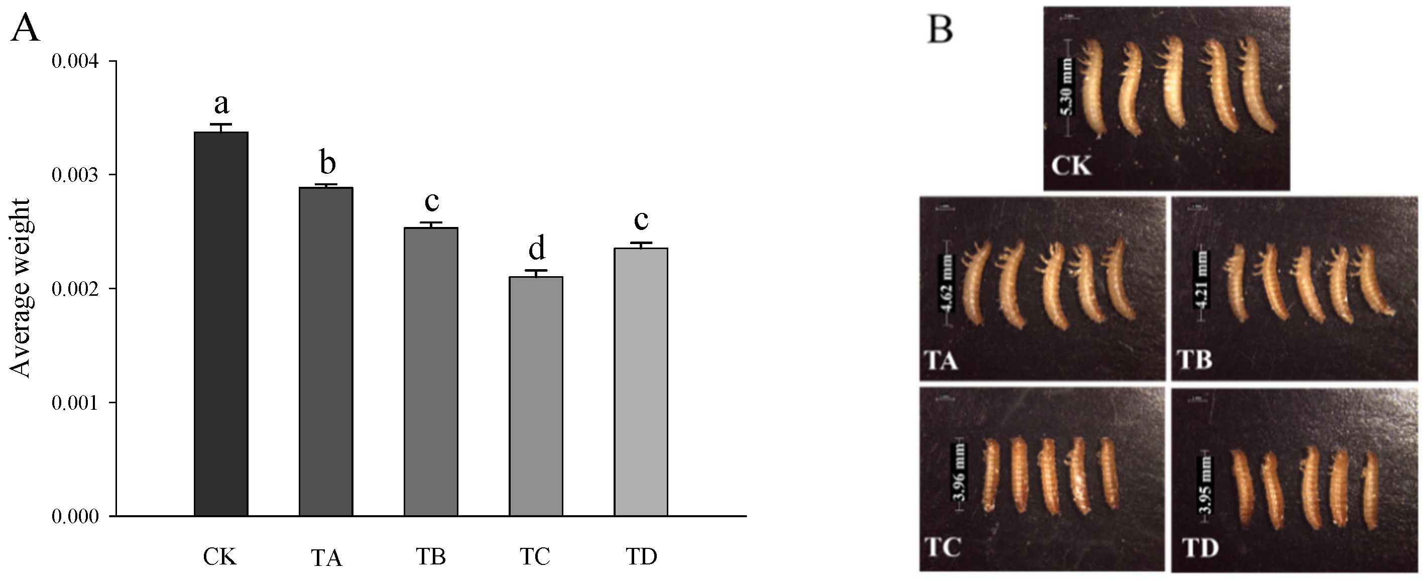 Agriculture 12 00979 g002