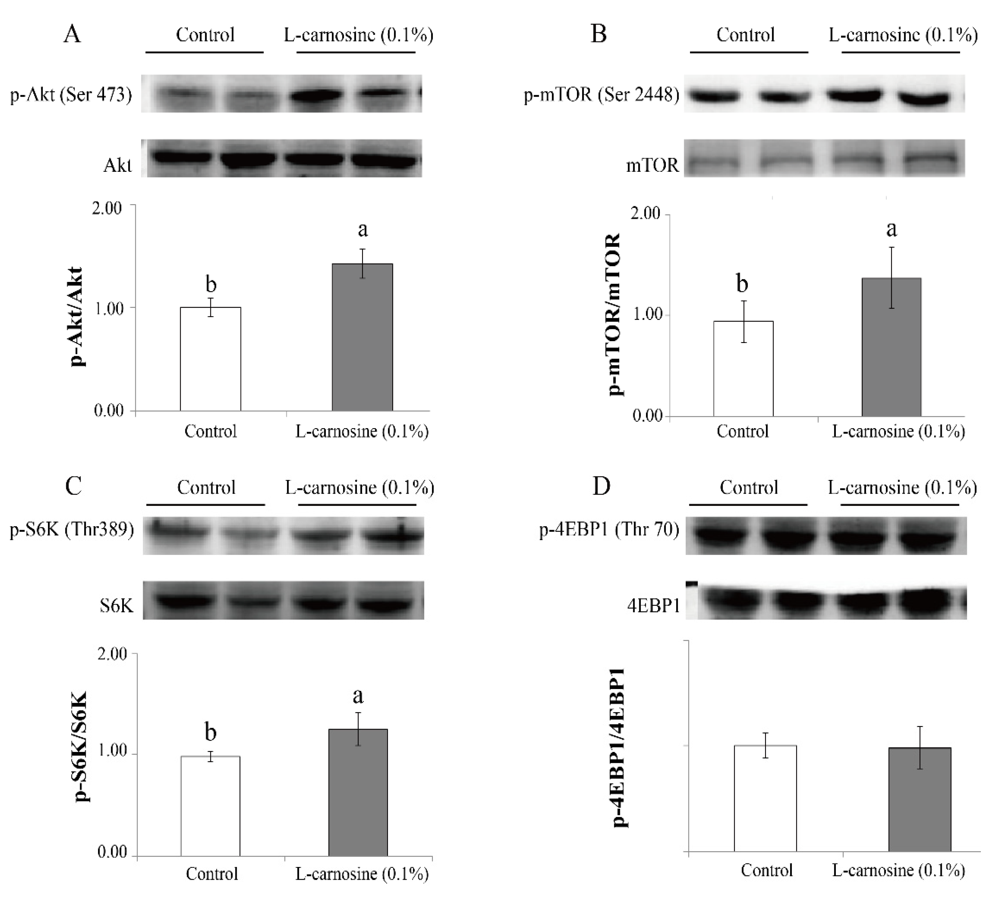 Agriculture 12 00988 g001
