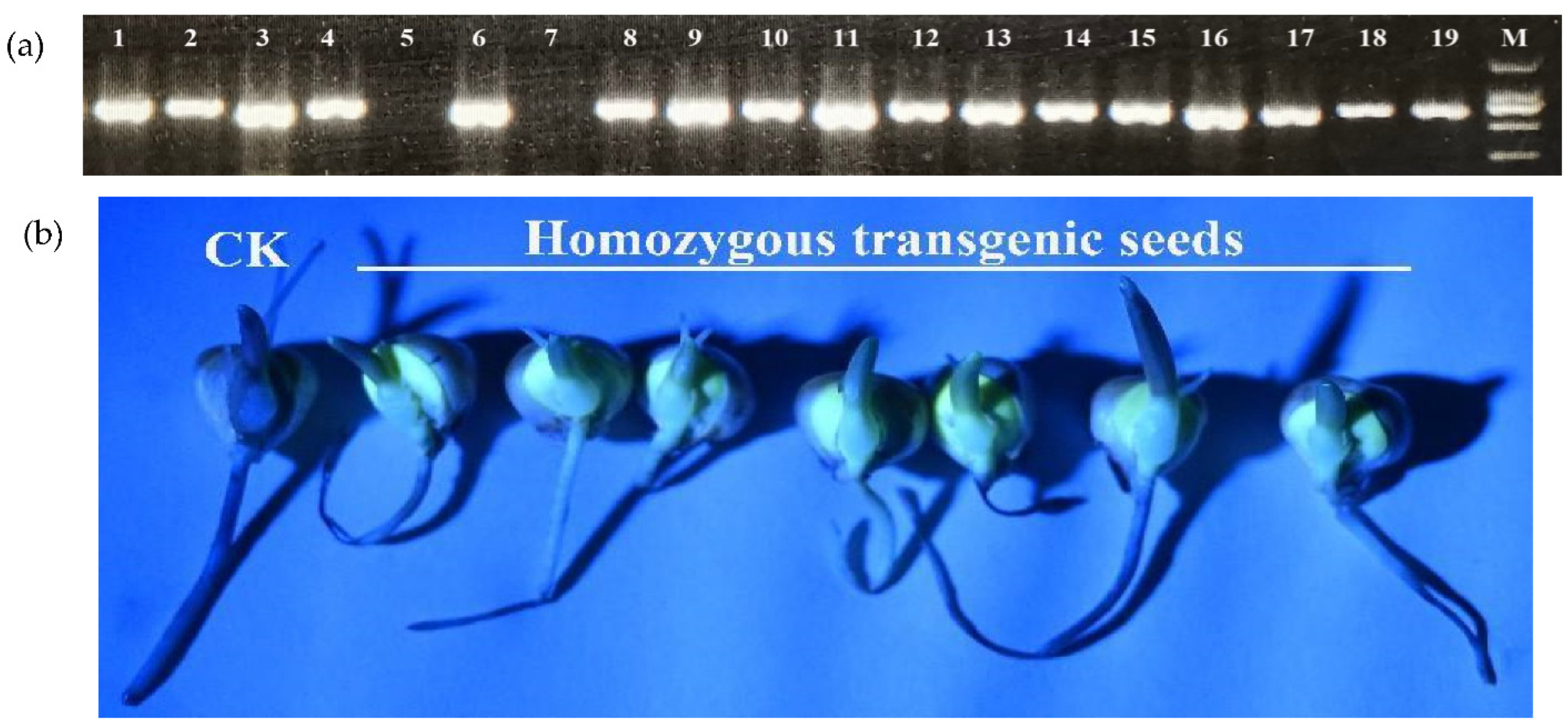 Agriculture 12 00992 g002